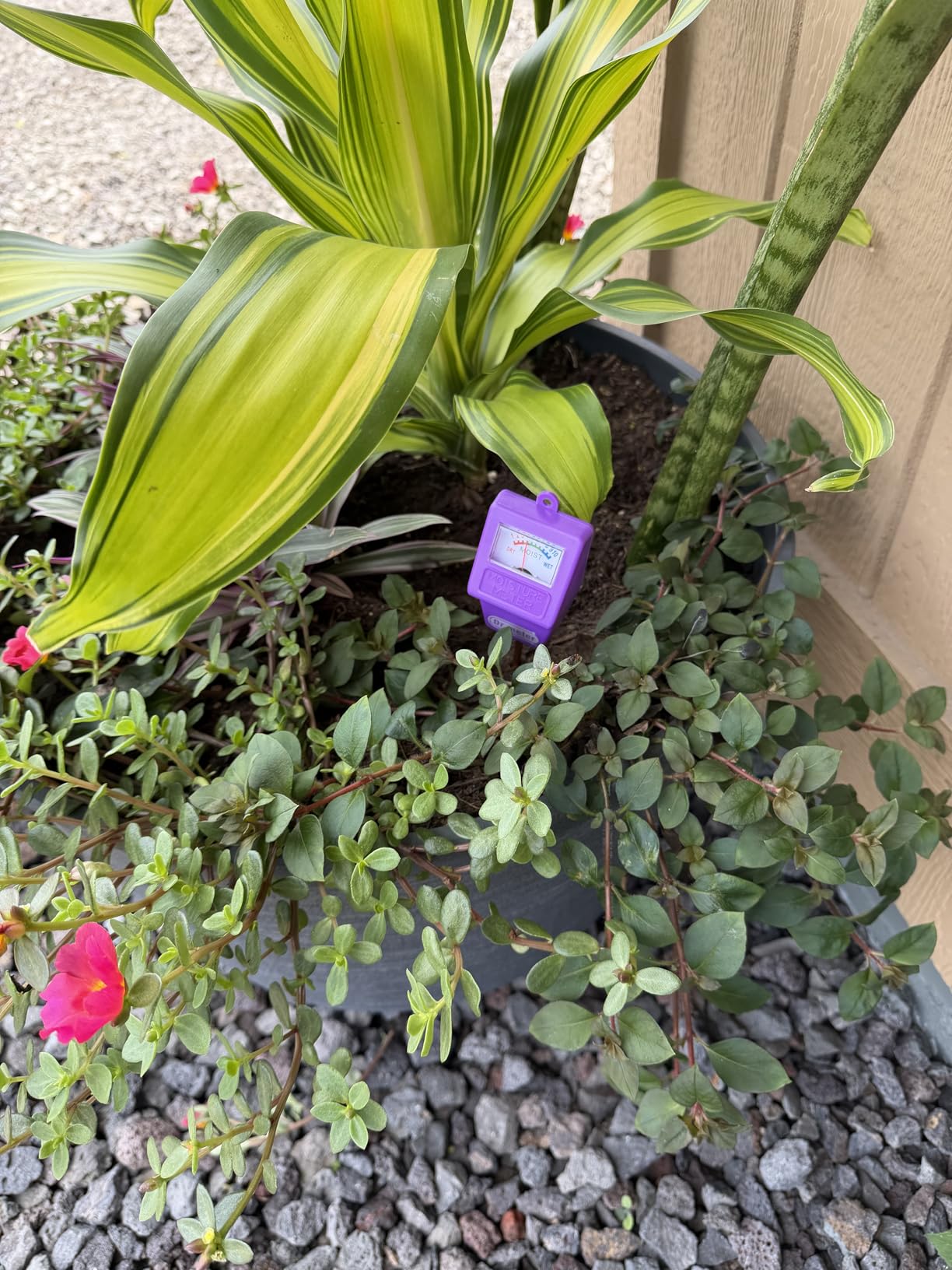 Dr.meter Soil Moisture Meter, Plant Water Meter for Garden Lawn Farm Indoor & Outdoor Use, Soil Tester Hygrometer Sensor for House Plants, Gardening Gifts, No Battery Needed customer photo 1