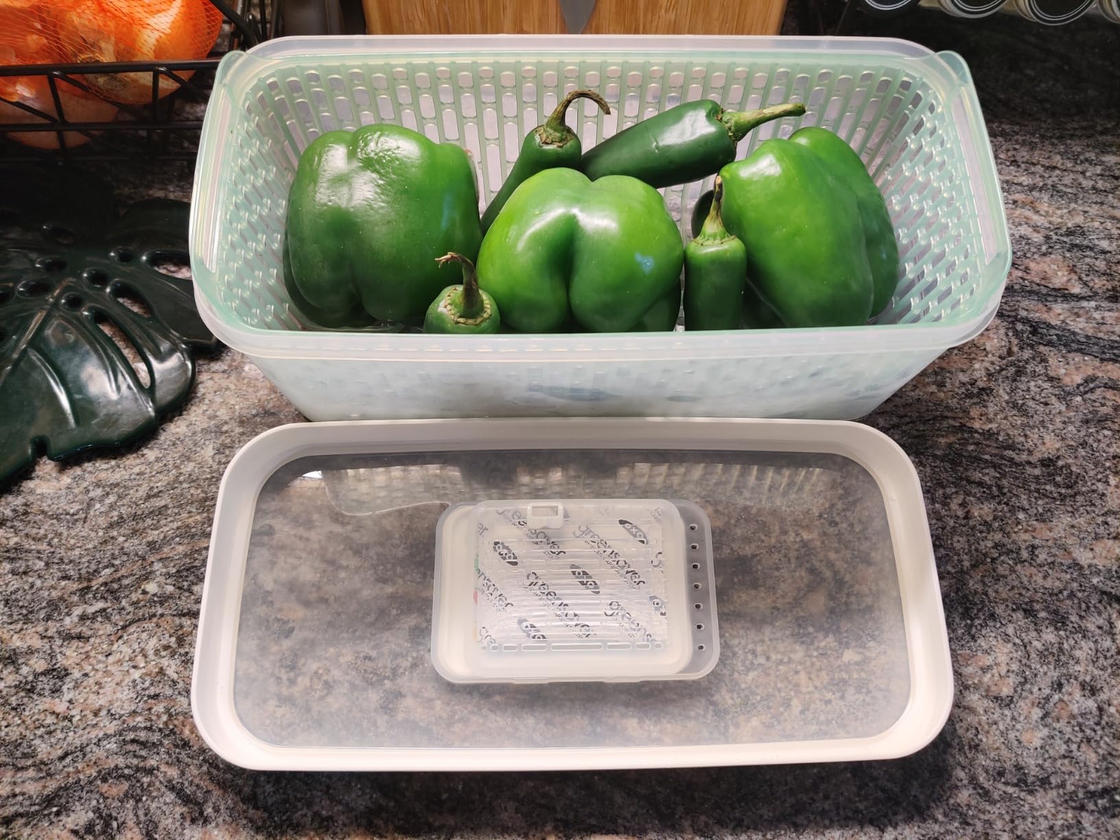 OXO Good Grips GreenSaver Produce Keeper - Large, White customer photo 2
