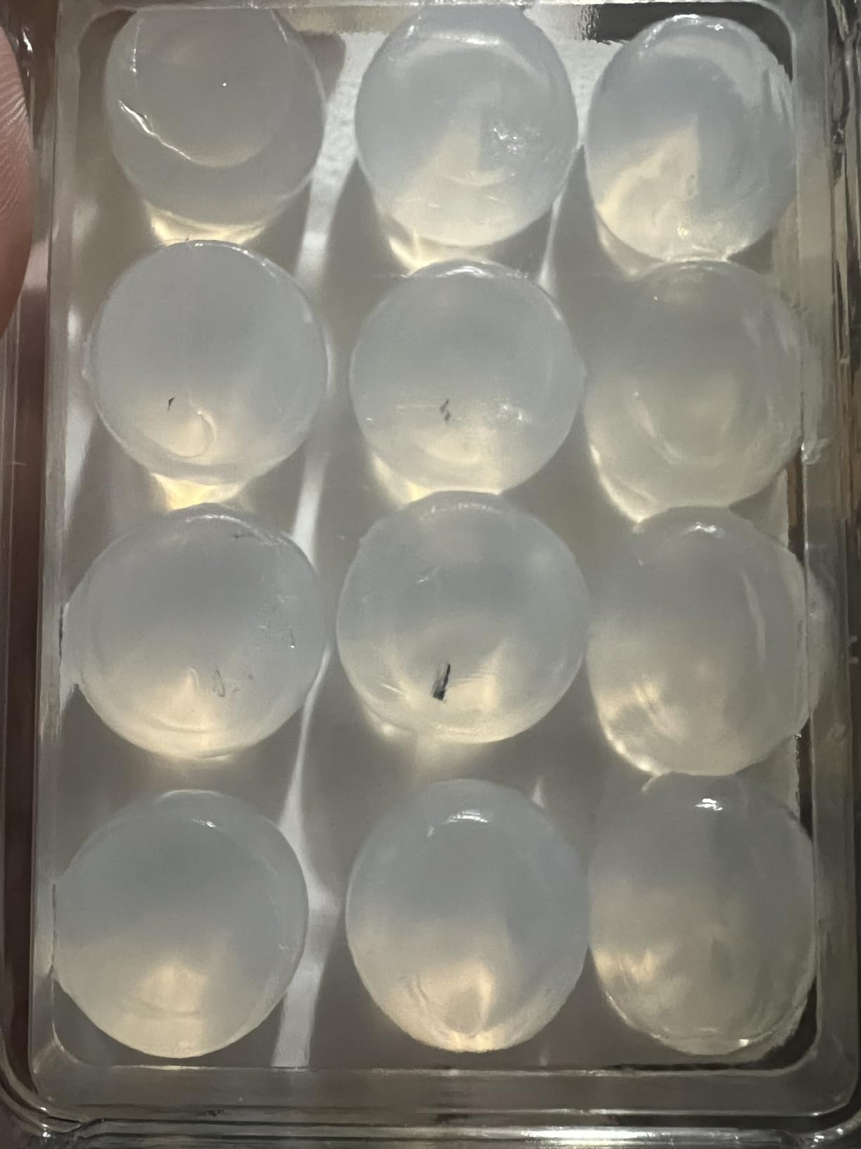 Aqua Ears Soft Moldable Earplugs, 18 Pairs customer photo 2