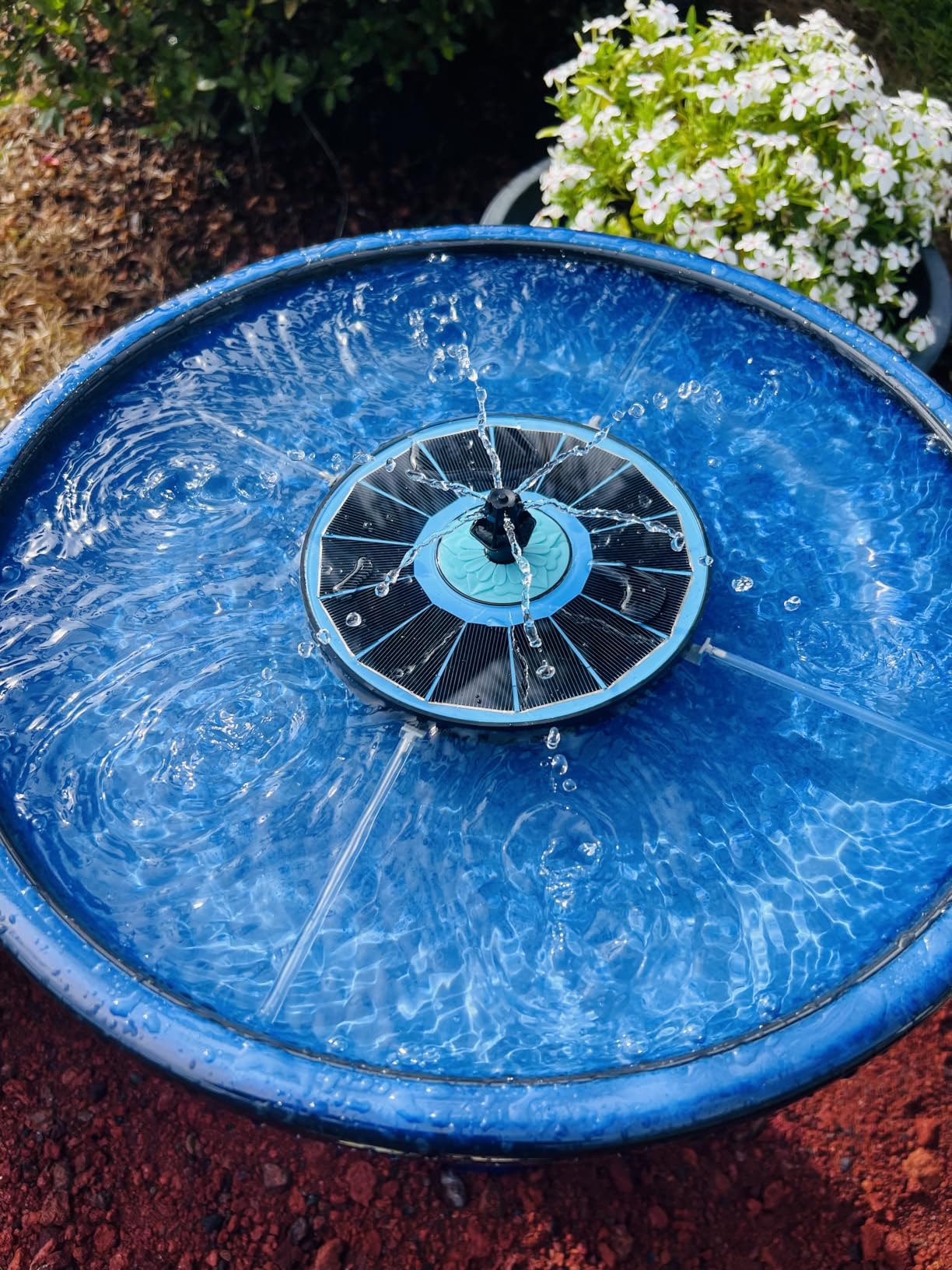 Smart Solar Aviatra Outdoor Ceramic Birdbath with Pedestal Stand and Glossy Finish, Elegant Traditional Birdbath for Garden, Blue customer photo 1