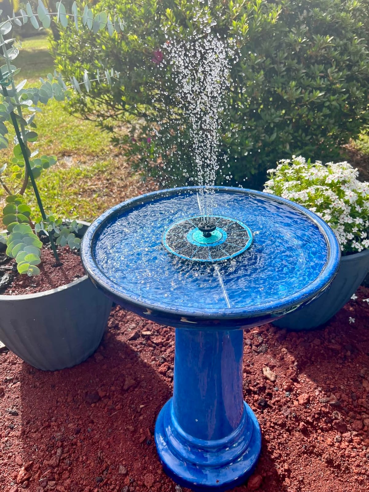 Smart Solar Aviatra Outdoor Ceramic Birdbath with Pedestal Stand and Glossy Finish, Elegant Traditional Birdbath for Garden, Blue customer photo 2