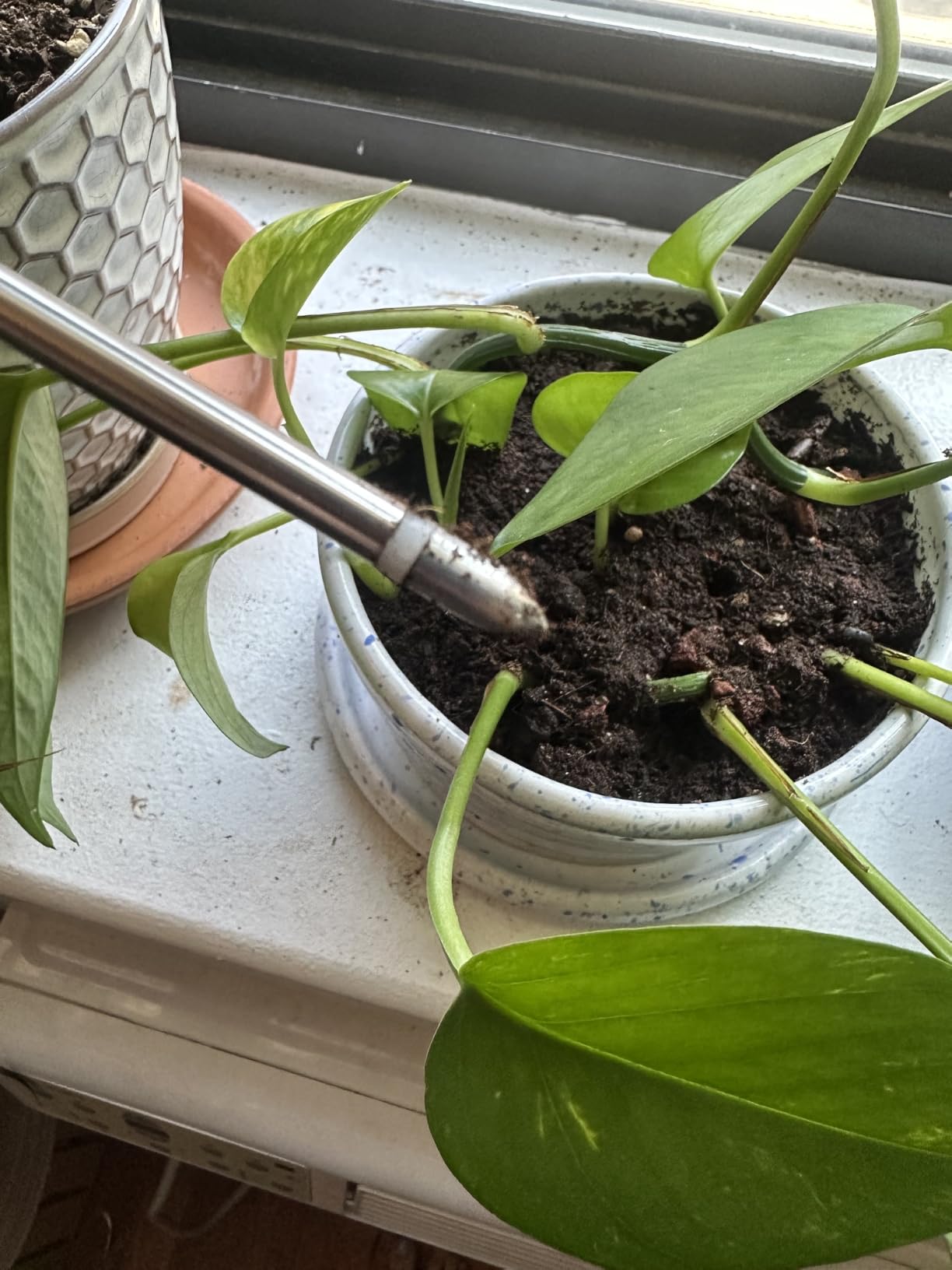 XLUX Soil Moisture Meter (Since 2015) - No Batteries Required, Durable 304 Stainless Steel Probe & Virgin ABS - Instant Read Hygrometer for Garden, Indoor & Outdoor Plants (Upgraded Design) customer photo 1
