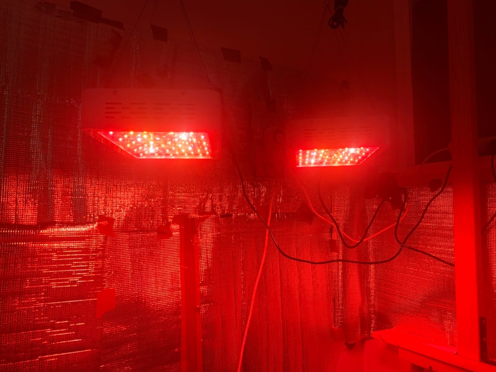KingLED KP1000 LED Grow Light for Indoor Plants, Full Spectrum Plant Light with Veg & Bloom Mode, 100W Growing Lamp for Seed Starting Seedlings Vegetable Hydroponic Greenhouse customer photo 1