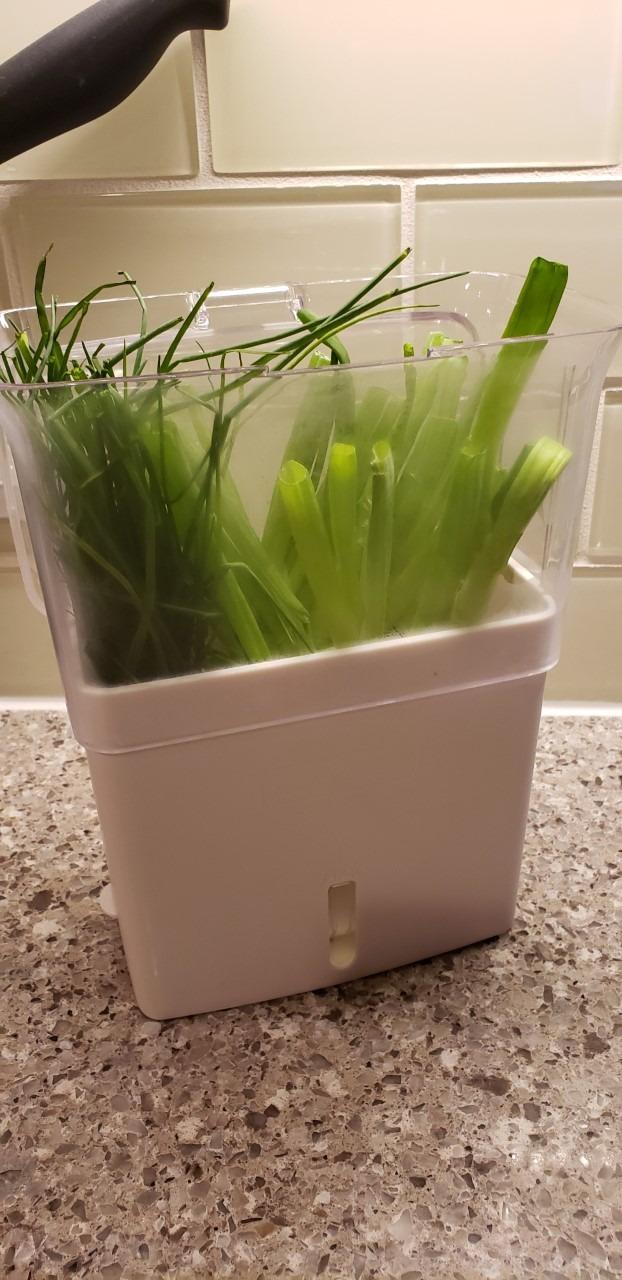 Cole & Mason Fresh Herb Keeper - Acrylic Storage Container for Refrigerator with Hydro Pad and Pour Spout customer photo 1