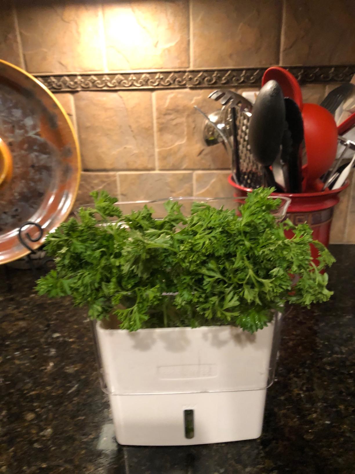 Cole & Mason Fresh Herb Keeper - Acrylic Storage Container for Refrigerator with Hydro Pad and Pour Spout customer photo 2