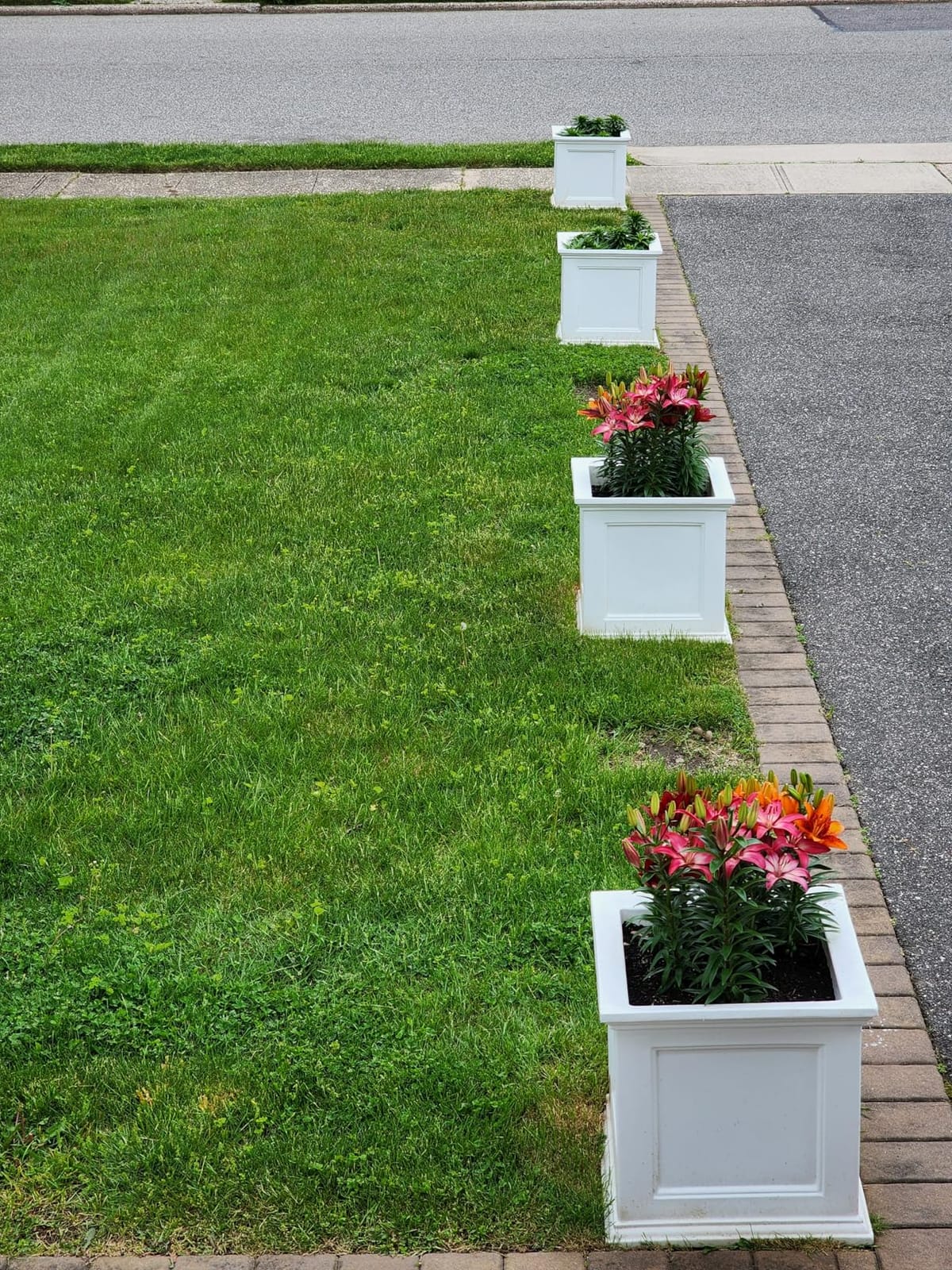 Mayne Fairfield 20in Self-Watering Square Planter, Espresso | Self-watering, All season, Fade resistant, Double-wall design, 15-year warranty customer photo 1