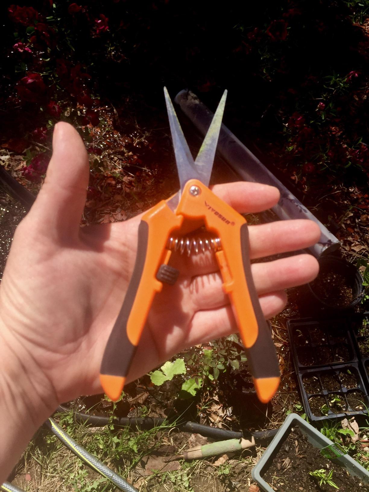 VIVOSUN 6.5 Inch Gardening Scissors Hand Pruner Pruning Shear with Straight Stainless Steel Blades Orange 1-Pack | Straight Precision Stainless Steel Blades, Comfort Ergonomic Grips, Ideal Snip for Deadheading, Trimming & Shaping Plants customer photo 1