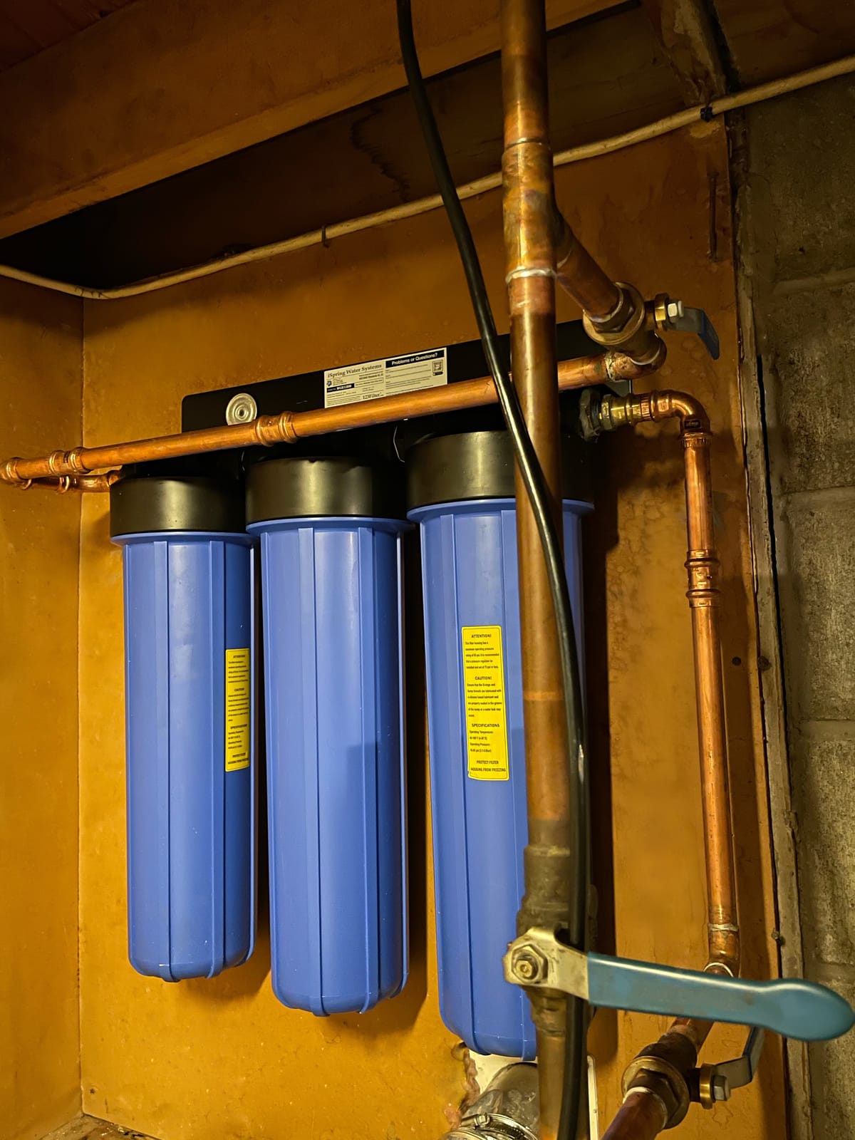 iSpring WGB32BM Iron, Manganese Whole House Water Filter System customer photo 1