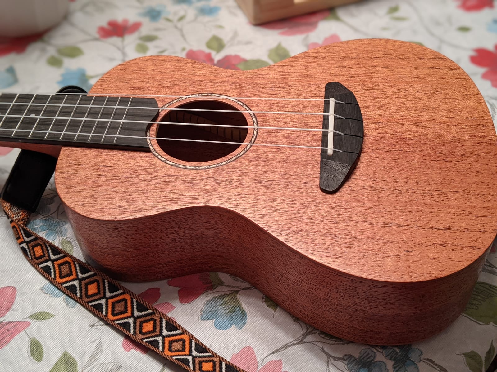 Donner Concert Ukulele Beginner Mahogany 23 Inch Ukelele Kit with Free Online Lesson Gig Bag Strap Nylon String Tuner Picks Cloth DUC-1 Gift Choice customer photo 1