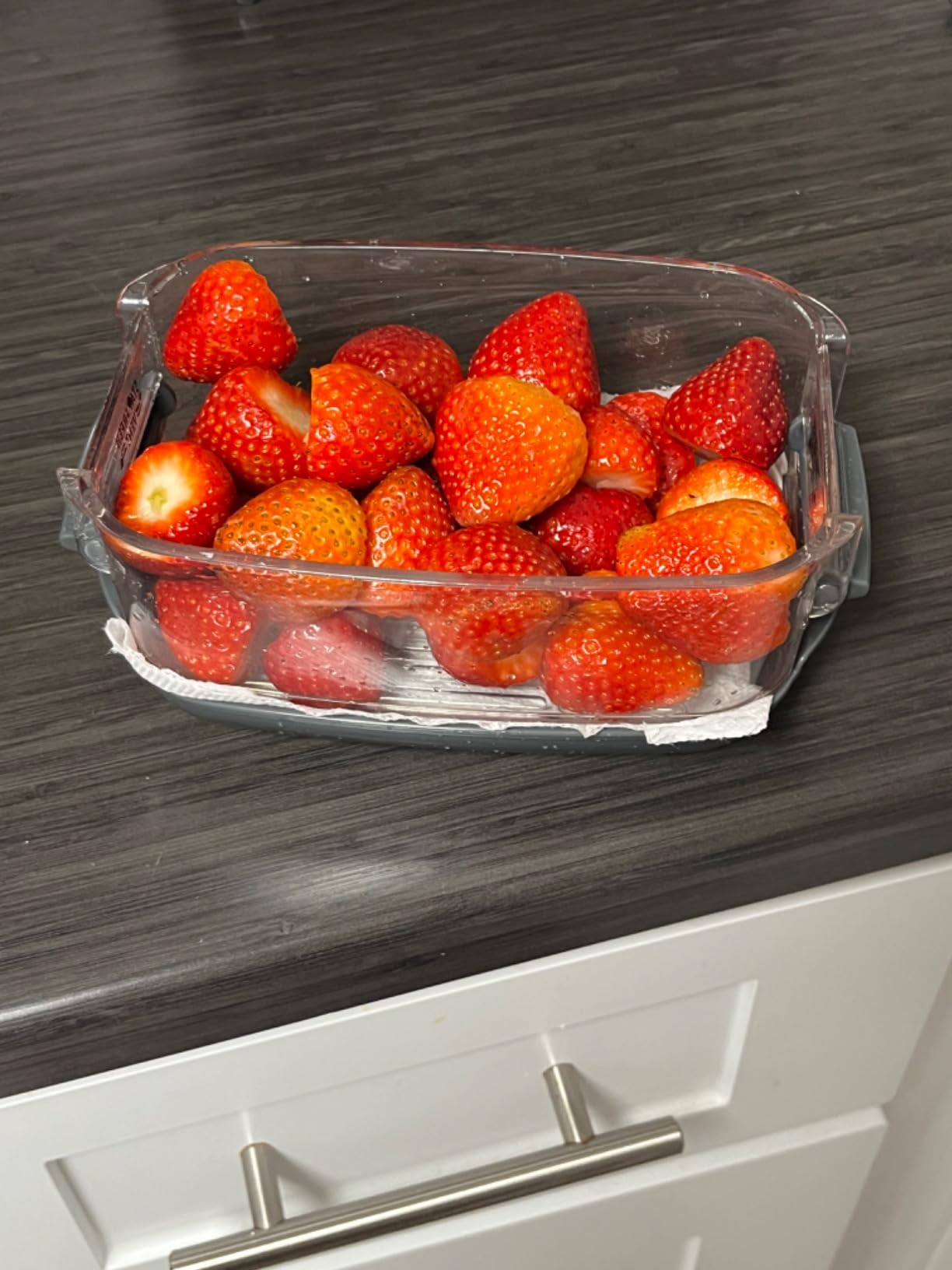 ProKeeper Produce Container, 3-Quart - Stay-Fresh Vent System for Small Peppers and Tomatoes, BPA-Free customer photo 1