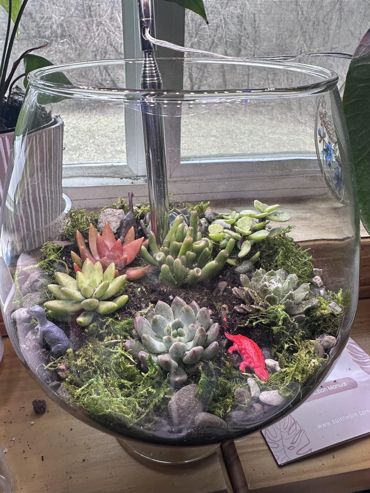 Cute Farms Terrarium Starter Kit | Moss, Vermiculite, Soil, Pebbles, Plant Food, Finishing Tools, Build and Care Guide | DIY Succulent Terrarium for Adults and Kids (Large) customer photo 1