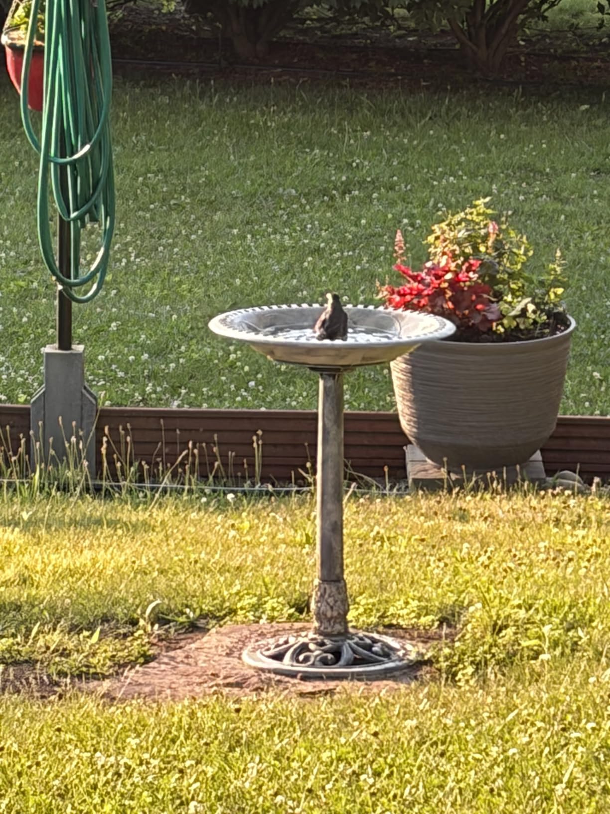 VIVOHOME Bird Bath for Outside, Polyresin Pedestal Bird Baths for Outdoor, Garden, 28 Inch Height Weather-Resistant Birdbaths with 20
