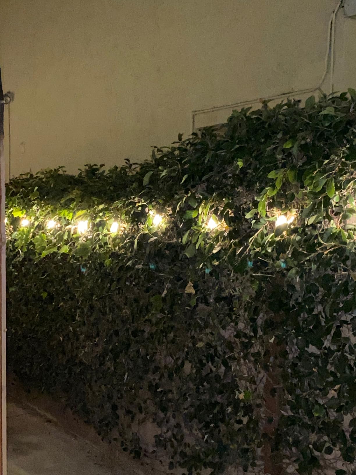 Brightech Ambience Pro Solar Powered Outdoor String Lights -27 ft Commercial Grade Waterproof Edison Patio Lights, Shatterproof LED String Lights for Outside, Porch - 12 Bulbs, 1W Soft White customer photo 1