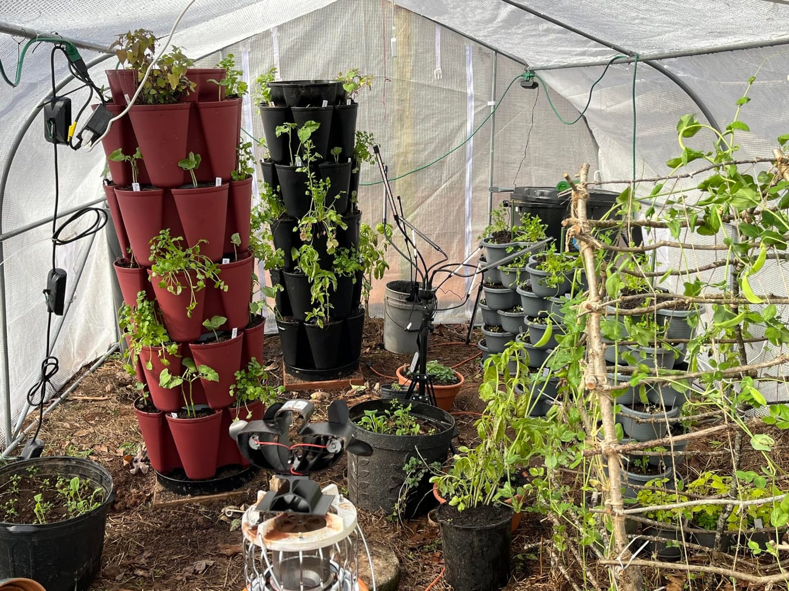 Patented Large 5 Tier Vertical Garden Planter with Patented Internal Watering System Great for Growing a Variety of Strawberries, Vegetables, Herbs, & Flowers (Stunning Stone) customer photo 2
