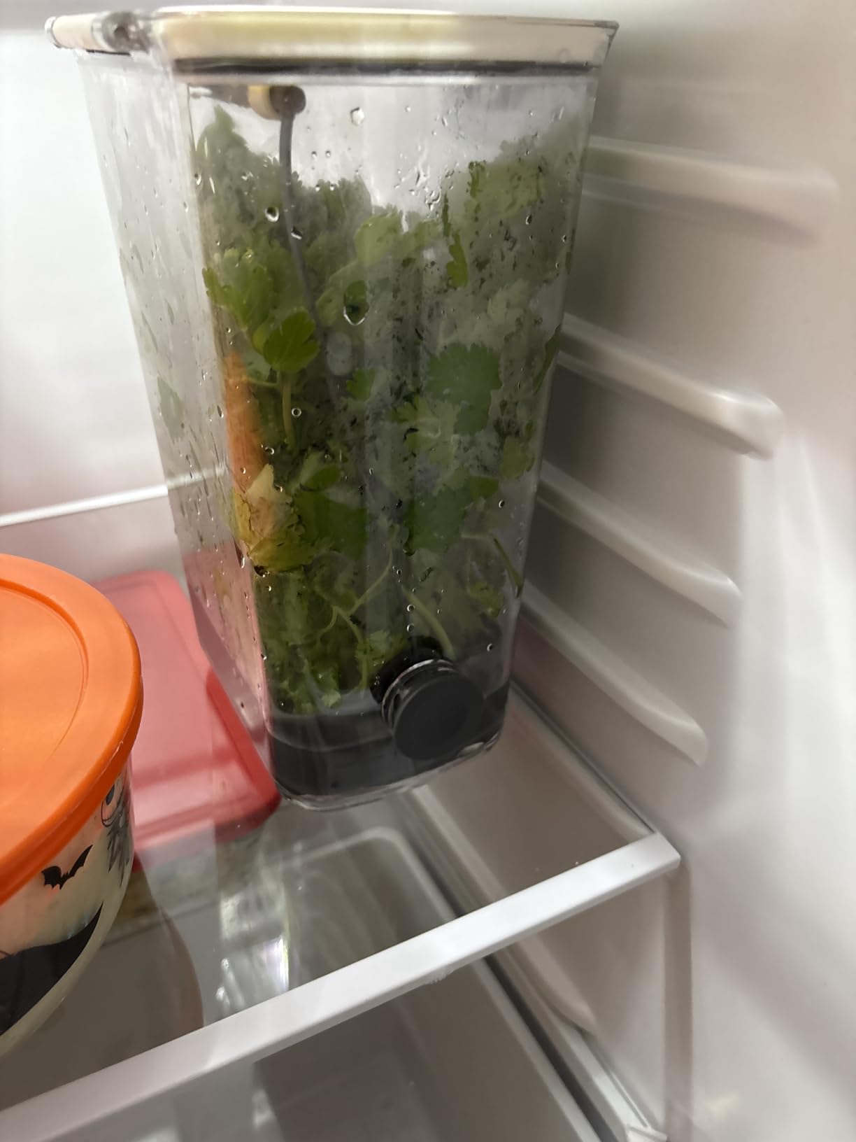 ProKeeper Herb Keeper with Removable Silicone Drain Plug, BPA-Free Plastic customer photo 1