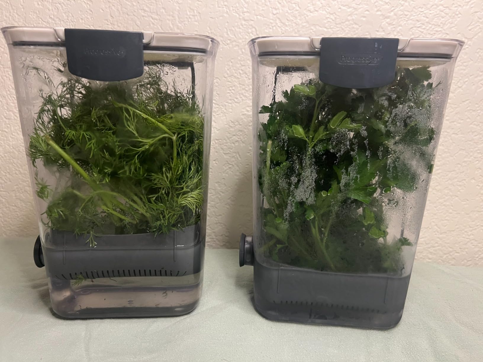 ProKeeper Herb Keeper with Removable Silicone Drain Plug, BPA-Free Plastic customer photo 2
