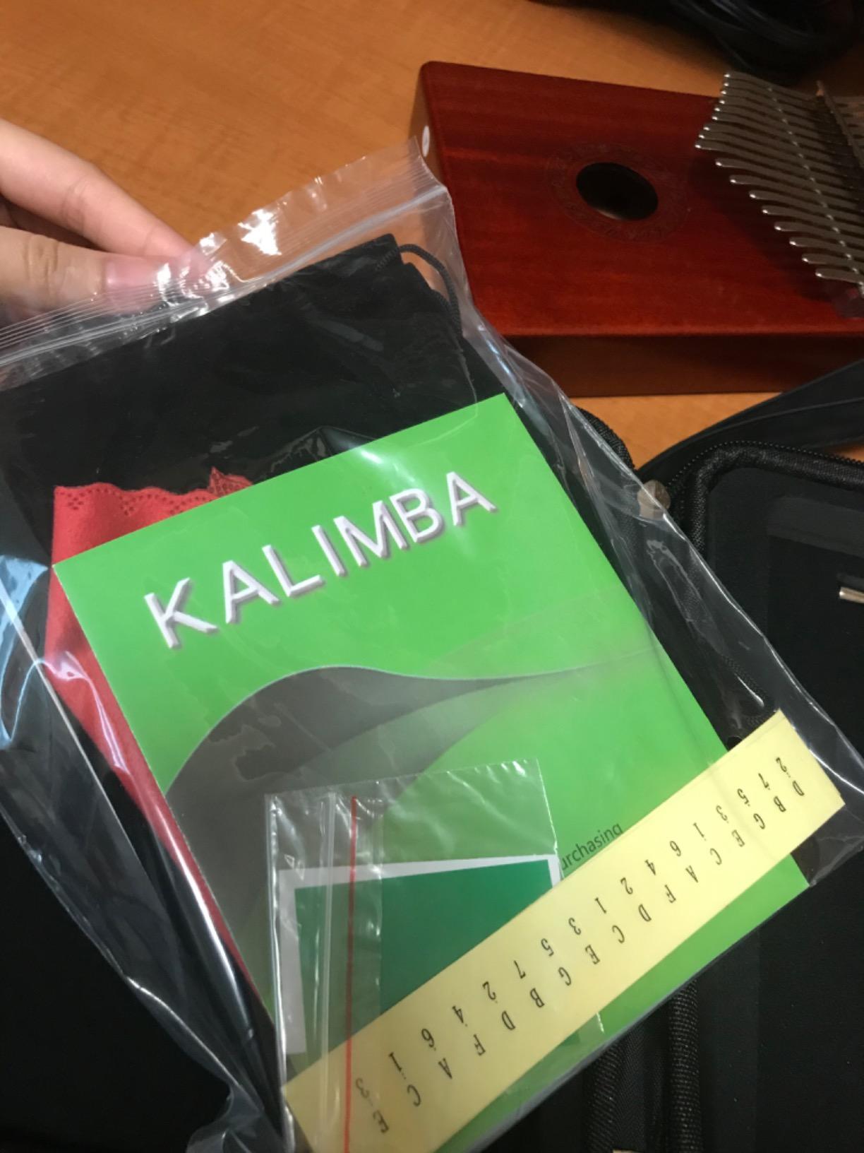 GECKO Kalimba 17 Keys Thumb Piano with Waterproof Protective Box, Tune Hammer and Study Instruction, Portable Mbira Sanza Finger Piano, Meditation Sound, Gift for Beginners and Professional customer photo 2