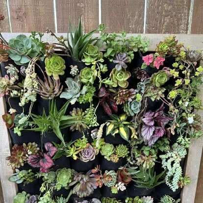 Ogrmar 36 Pockets Wall Planter Breathable Vertical Garden Planter Grow Bag | Plant Wall Hanging Pockets for herbs, flowers, vegetables & strawberries, Felt fabric, easy hanging for indoor and outdoor use customer photo 1