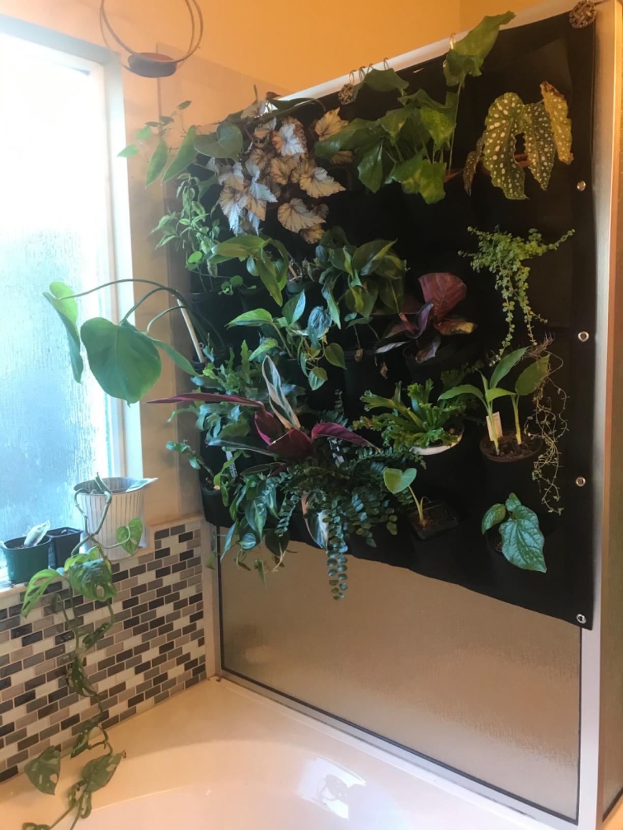 Ogrmar 36 Pockets Wall Planter Breathable Vertical Garden Planter Grow Bag | Plant Wall Hanging Pockets for herbs, flowers, vegetables & strawberries, Felt fabric, easy hanging for indoor and outdoor use customer photo 2