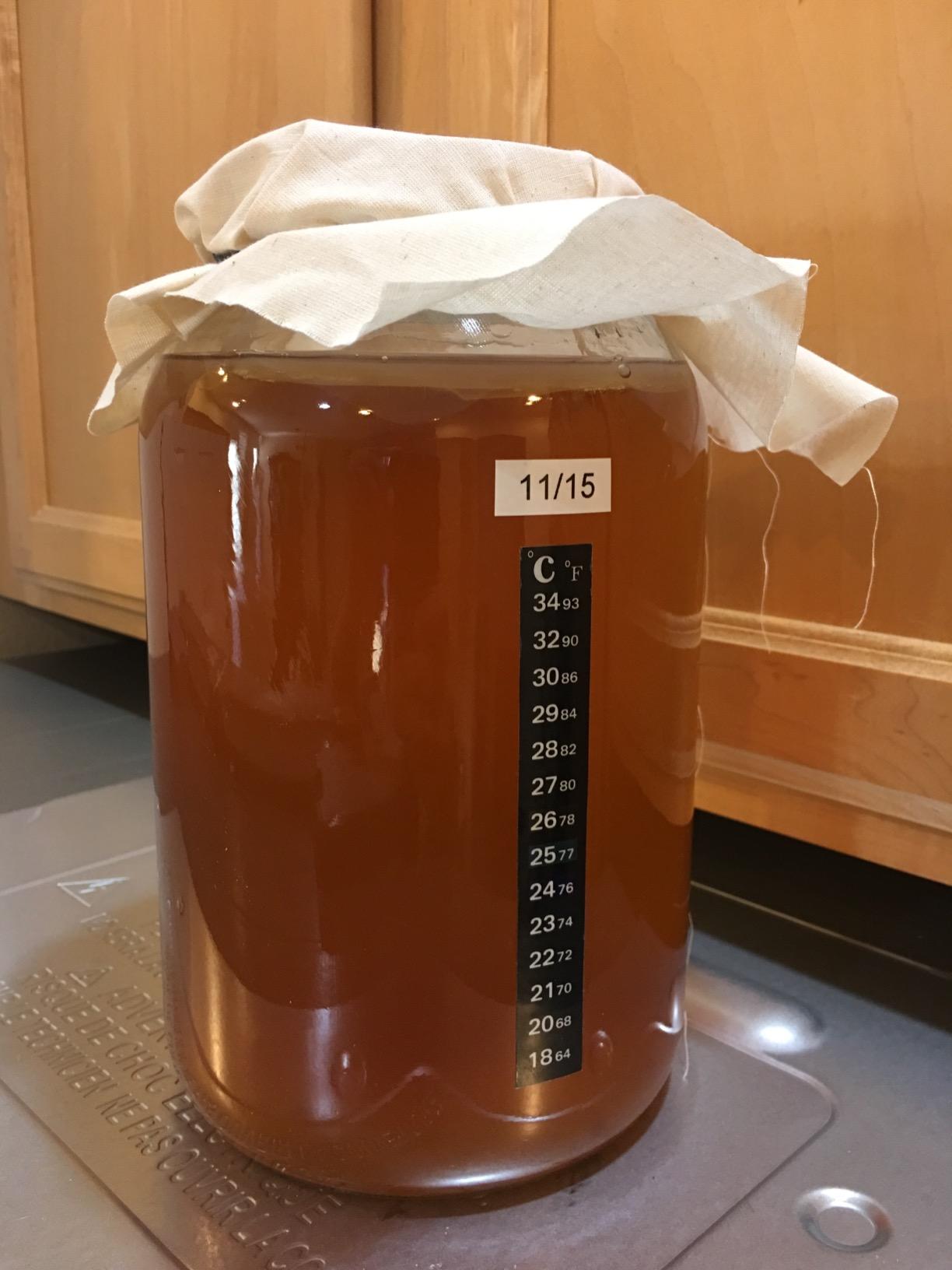 Kombucha Essentials Kit - Includes USDA Organic Kombucha SCOBY + 1-Gallon Glass Fermenting Jar with Breathable Cover + pH Strips + Rubber Band + Adhesive Thermometer - Brew kombucha at Home customer photo 1