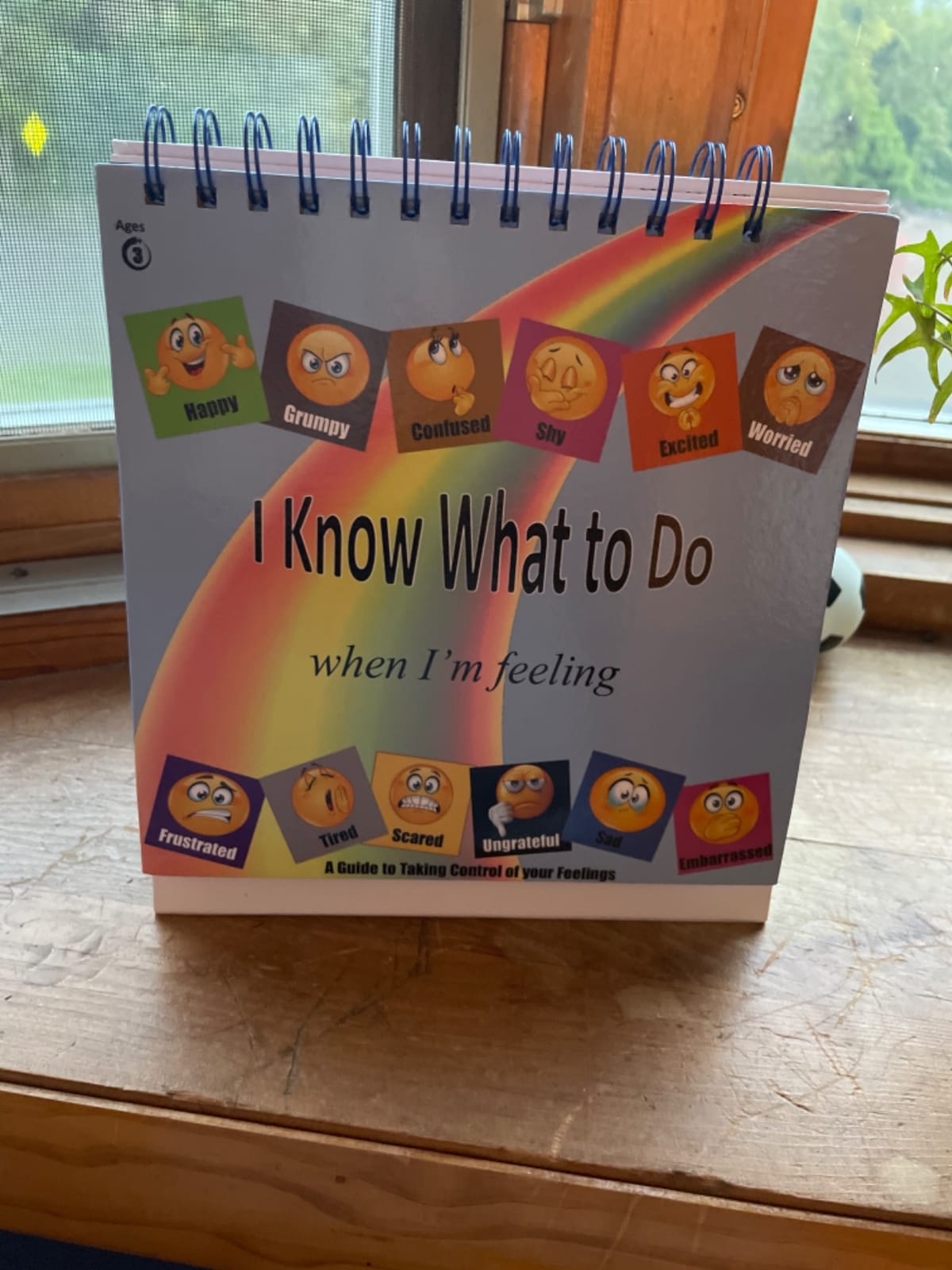 I Know What to Do Flipbook | Emotions Wheel & Feelings Chart | Emotional Regulation Tool for Home, Class, or Calm Down Corner | Helps Kids Learn Coping Skills | Autism Must-Have customer photo 1