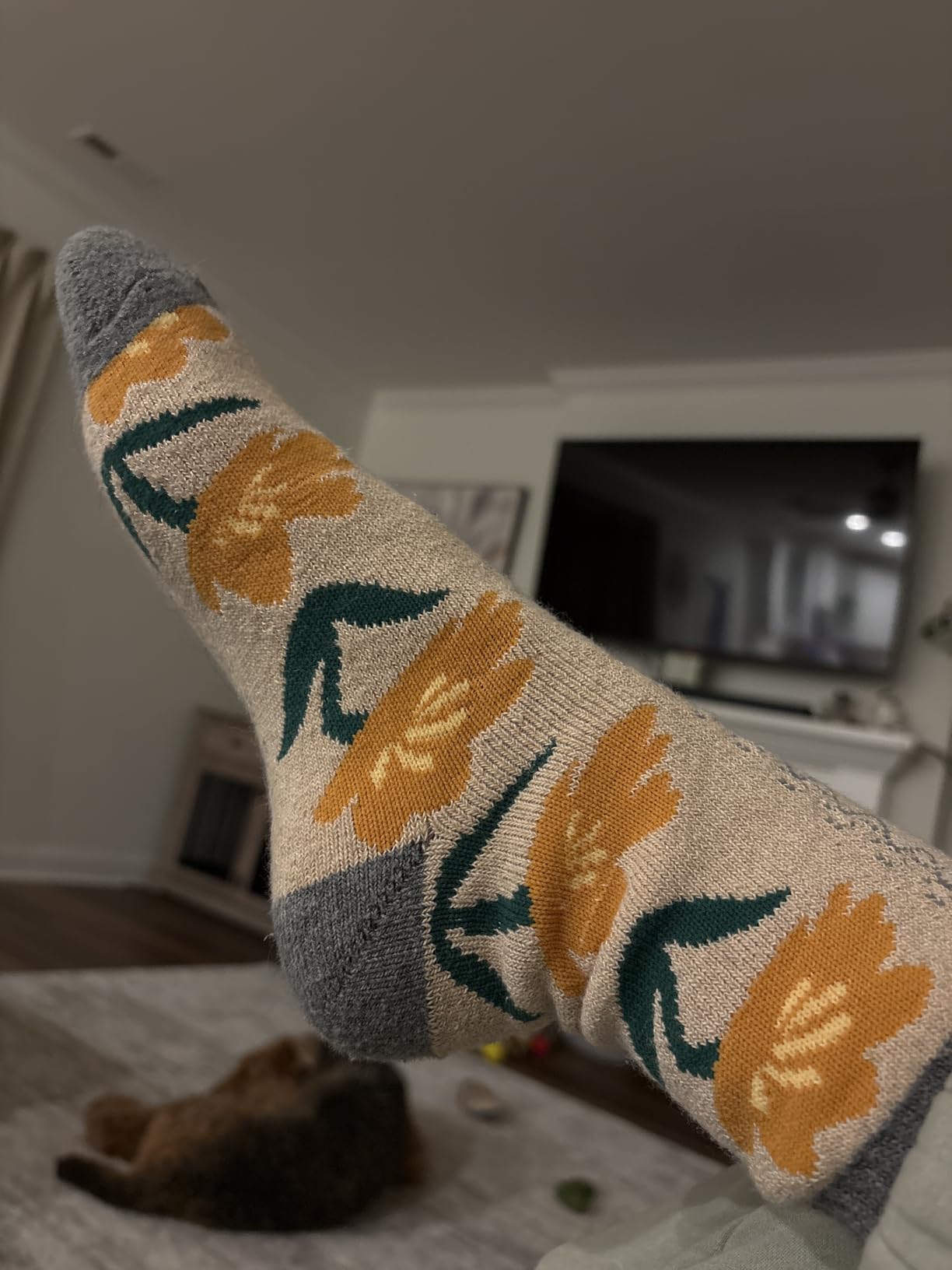Jeasona Wool Socks for Women Warm Winter Thermal Thick Gifts for Wife Mom | Soft Cozy Warm Socks for Cold Weather customer photo 2