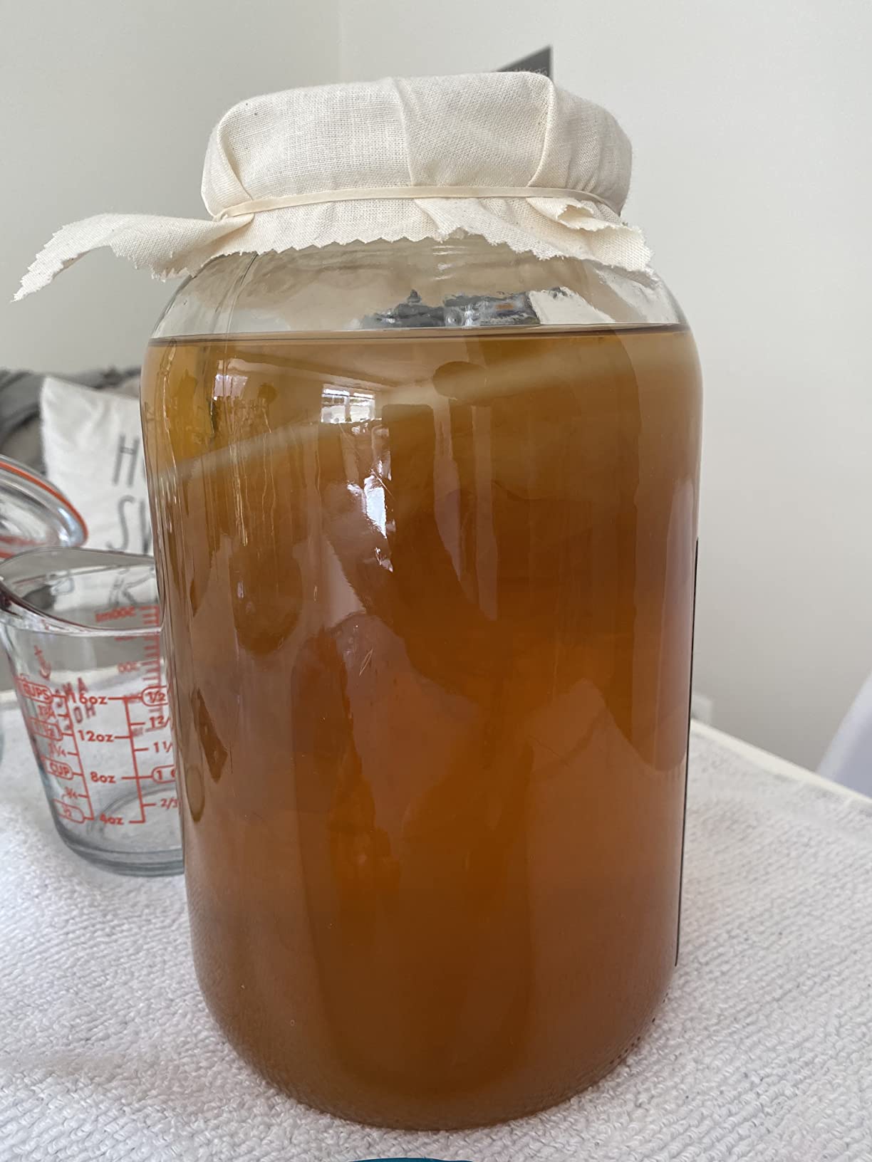 Starter Kit - Includes Organic SCOBY, Starter Liquid, 1 Gallon Glass Jar, Temp Gauge, Tea, and Sugar customer photo 2