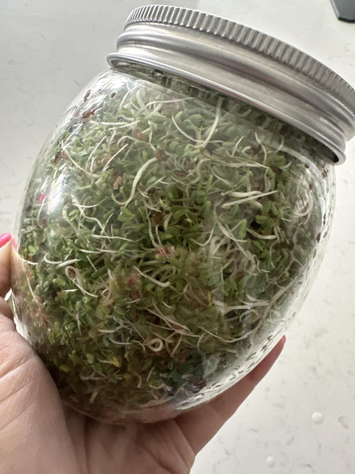 Premium Sprouting Jar Kit - Unique 30 oz Wide Mouth Sprouting Jar, Stand, Tray and 316 Stainless Screen Lid | Decorative Indoor Seed Sprouter and Germinator (1 Kit) customer photo 2
