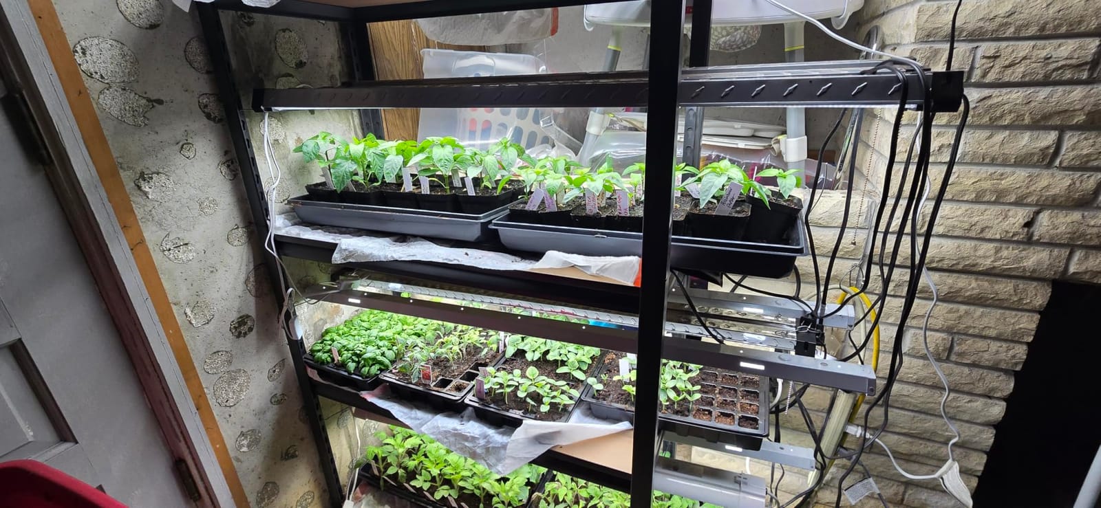 Gardzen 5-Set Seed Starter Tray Kits, Durable Plant Germination Trays with Humidity Vented Domes and Bases, Ideal for Seed Starting, Indoor Gardening, and Greenhouse (Total 200 Cells) customer photo 2
