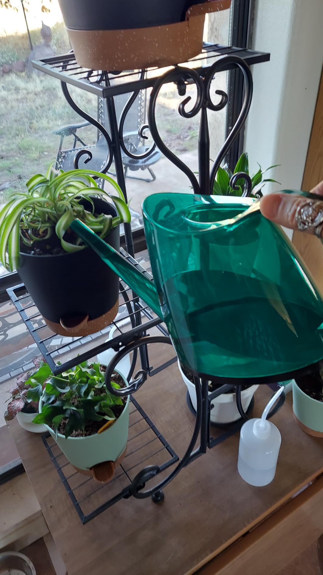 WhaleLife Small Indoor Plant Watering Can - 1.4L Dark Green Long Spout | Long Spout Prevents Spills Fits 5 Potted Bonsais Ergonomic Grip Precise Control Stylish Nordic Vibe Decor customer photo 2