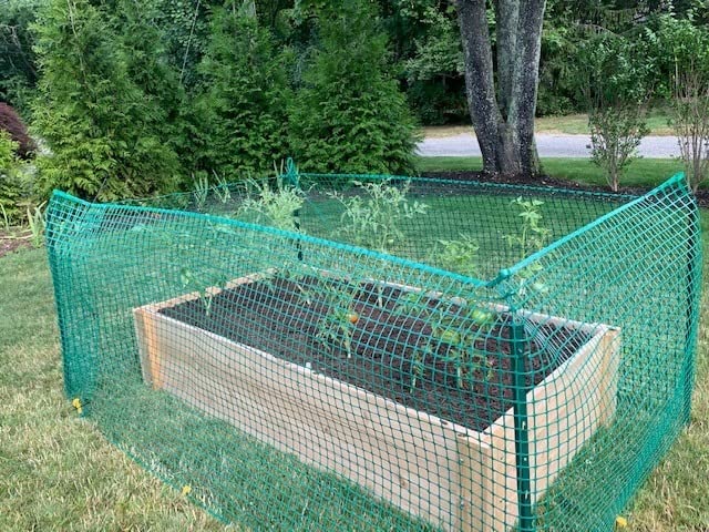 Deep Root Cedar Raised Bed Garden Kit customer photo 1