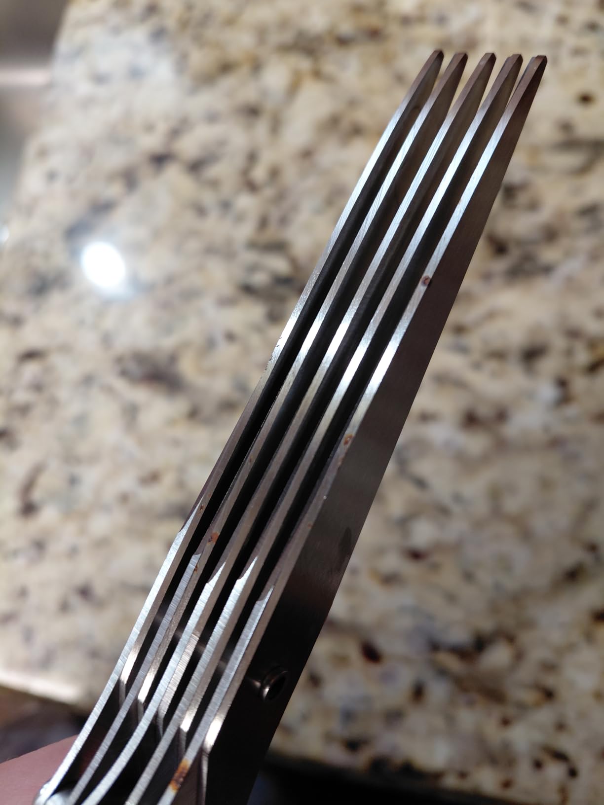 Herb Scissors with 5 Blades and Cover, Kitchen Herb Cutter with Cleaning Comb, Stainless Steel Multi Blade Herb Shears for Basil Parsley Cilantro, Easy Clean Cooking Tool, Unique Kitchen Gadgets Gift customer photo 1