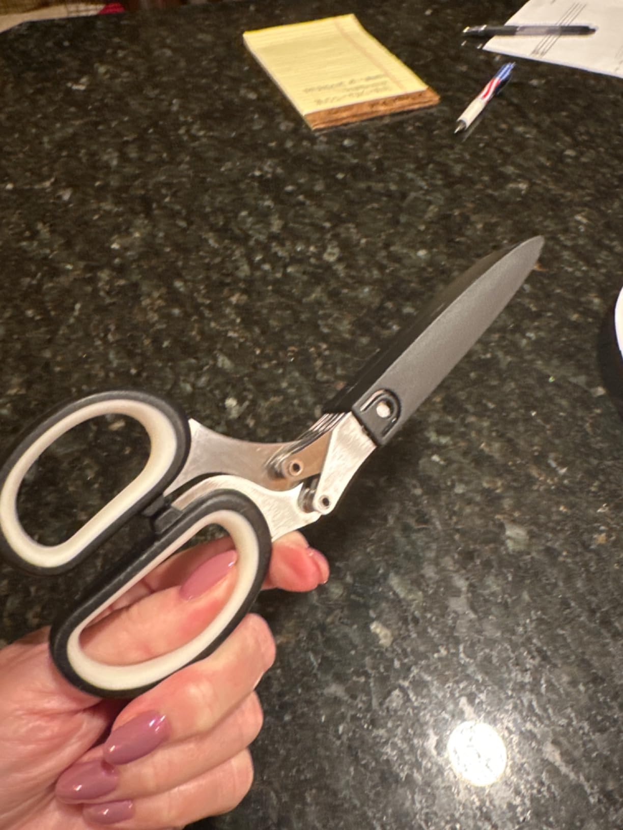Herb Scissors with 5 Blades and Cover, Kitchen Herb Cutter with Cleaning Comb, Stainless Steel Multi Blade Herb Shears for Basil Parsley Cilantro, Easy Clean Cooking Tool, Unique Kitchen Gadgets Gift customer photo 2