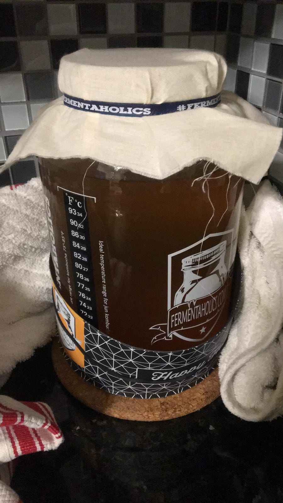 Kombucha Brewing Starter Kit - USDA Certified Organic SCOBY & Tea, Complete Home Kombucha Making Kit with Culture, Kosher Certified (Deluxe Kombucha Brewing Kit) customer photo 1