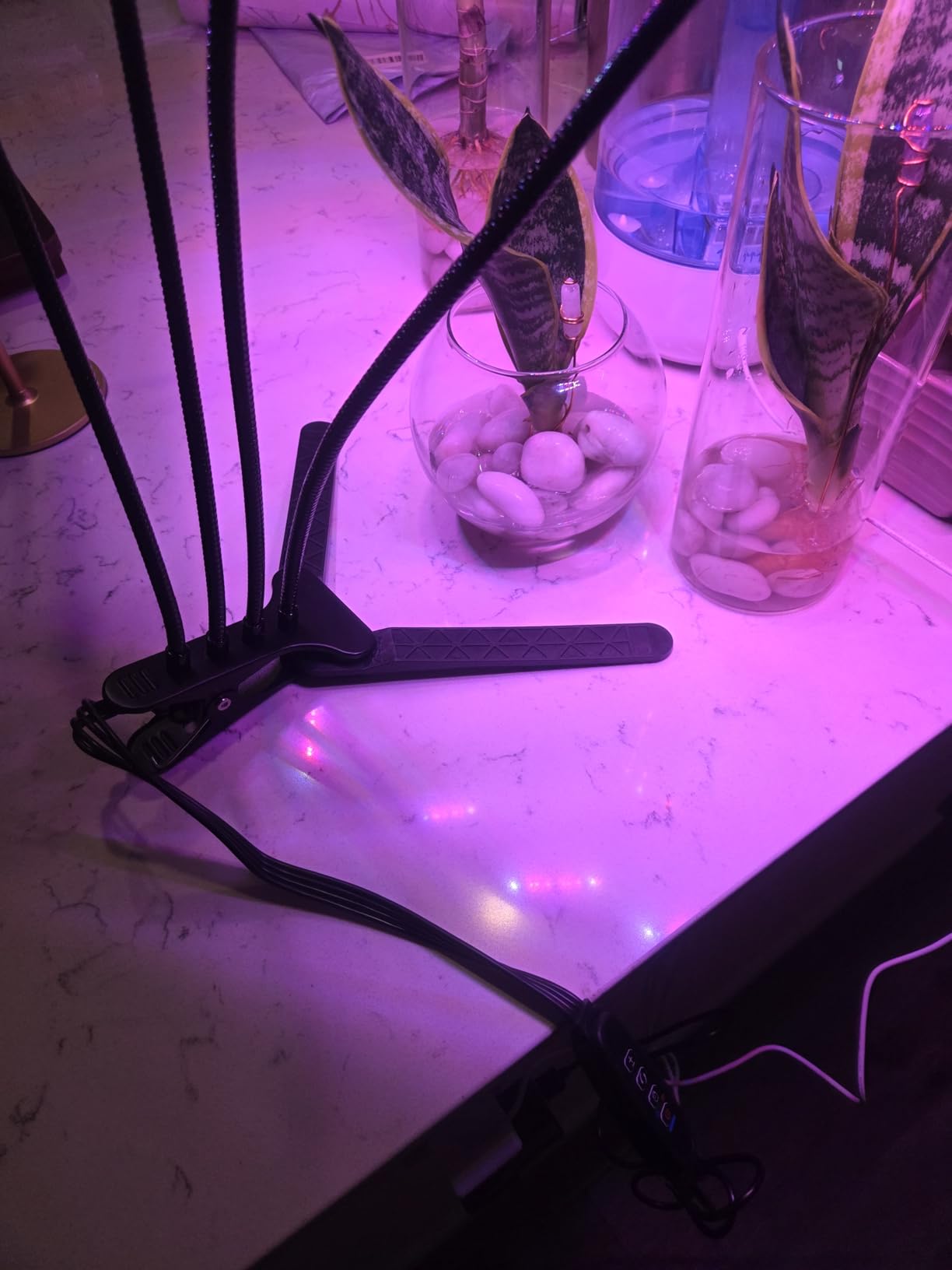 LEOTER Grow Light for Indoor Plants - Upgraded Version 80 LED Lamps with Full Spectrum & Red Blue Spectrum, 3/9/12H Timer, 10 Dimmable Level, Adjustable Gooseneck, 3 Switch Modes customer photo 2