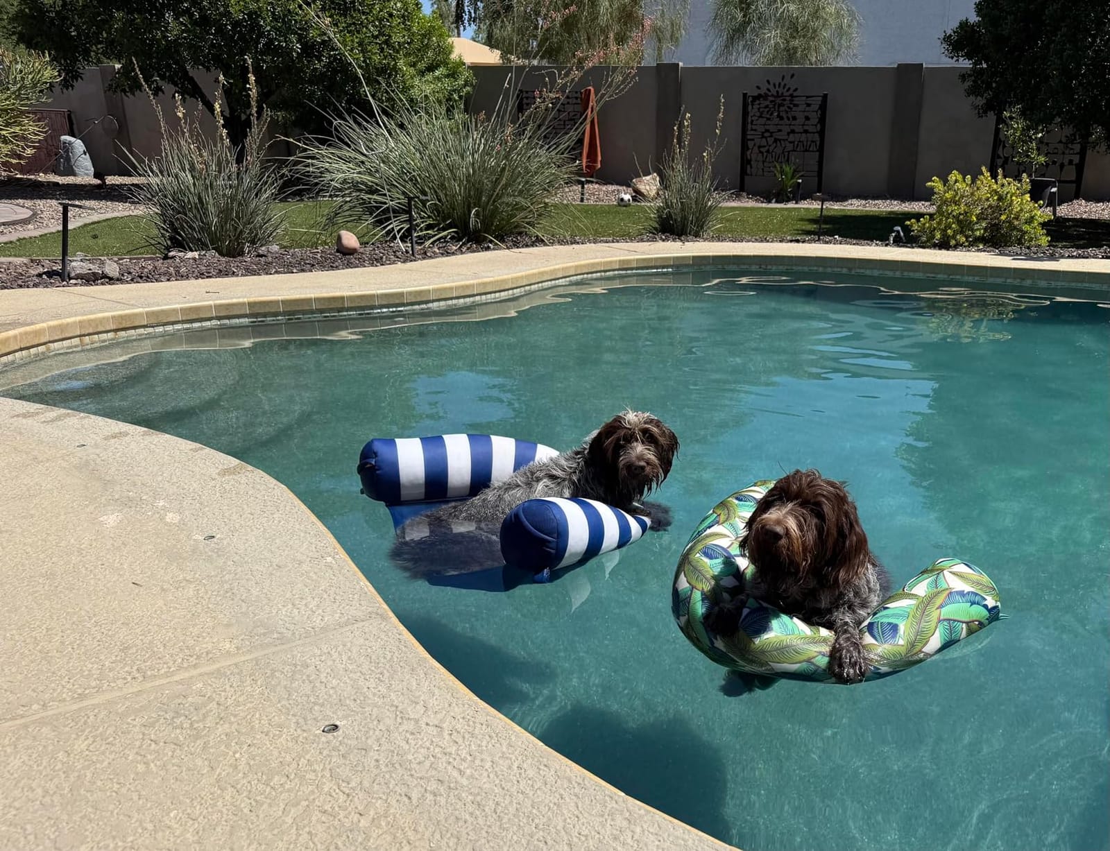 Big Joe Noodle Sling No Inflation Needed Pool Seat with Armrests, Blurred Blue Double Sided Mesh, Quick Draining Fabric, 3 feet customer photo 2