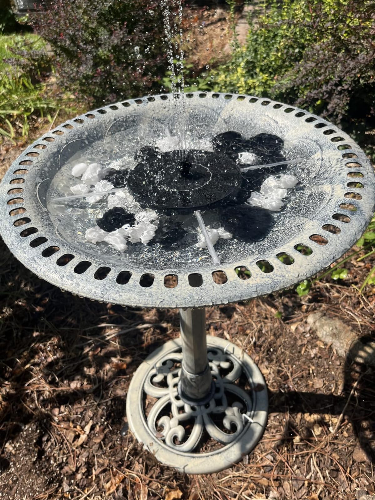 VIVOHOME Bird Bath with Solar Fountain for Outside, Pedestal, Gray | Solar-Powered Pump, Weather-Resistant Polyresin, 20-Inch Bowl, for Outdoor/Garden, Bird-Friendly, Easy to Clean customer photo 2