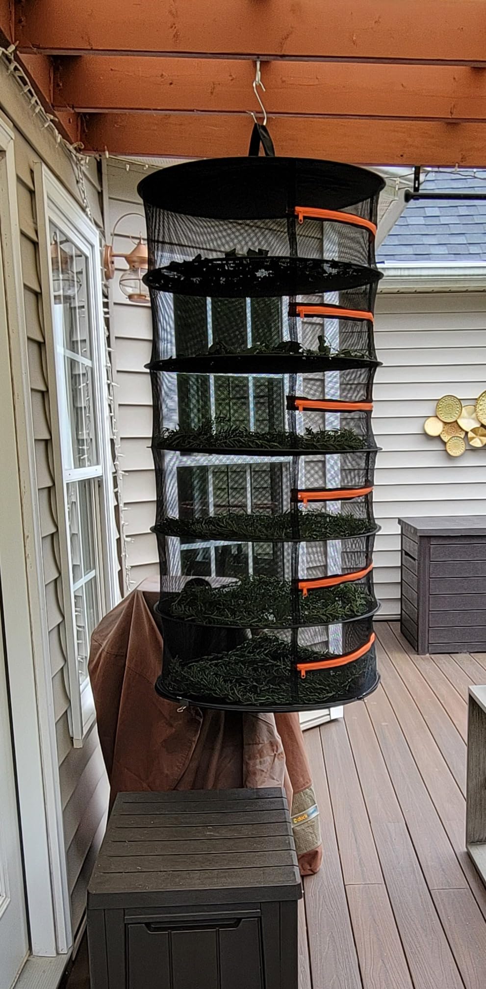 Desy & Feeci Herb Drying Rack-2ft Diameter 8 Layer Folding Mesh Hanging Basket Dryer Net with Zippers for Seeds Flowers Buds Plants Garden Outdoor Bumper Harvest(D24xH31 inch) customer photo 1