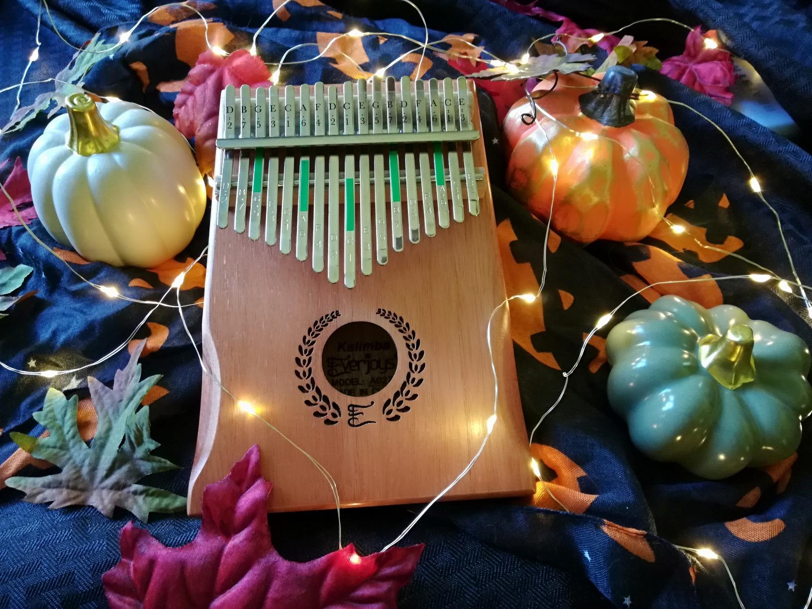 Everjoys Kalimba Thumb Piano 17 Keys, Professional Musical Instrument Finger Piano Marimbas with Portable Soft Cloth Bag, Fast to Learn Songbook, Tuning Hammer, All in One Kit customer photo 2