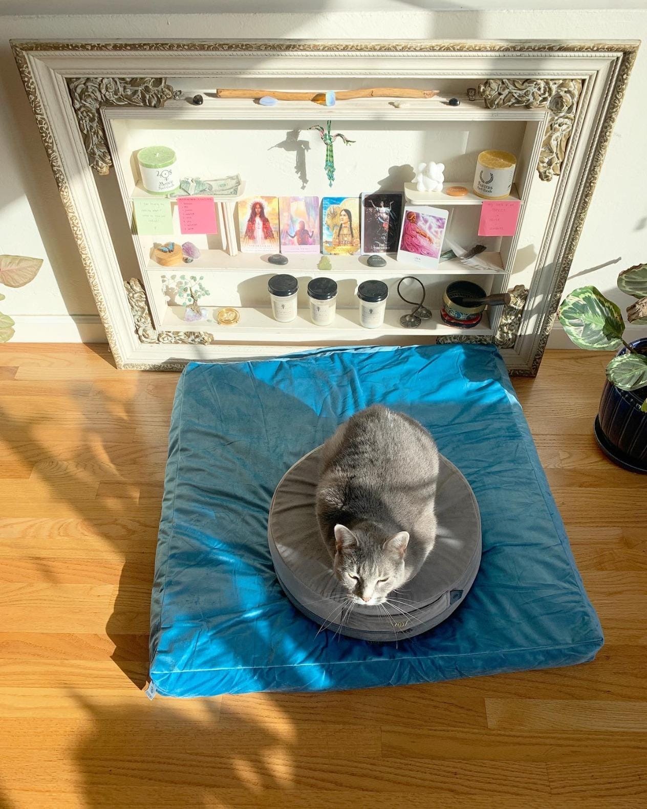 Florensi Zabuton Meditation Mat 32x32, Sage Green Velvet Floor Cushion | 32 x 32 inch zabuton meditation mat with cotton filling and velvet cover for comfortable floor seating support customer photo 2