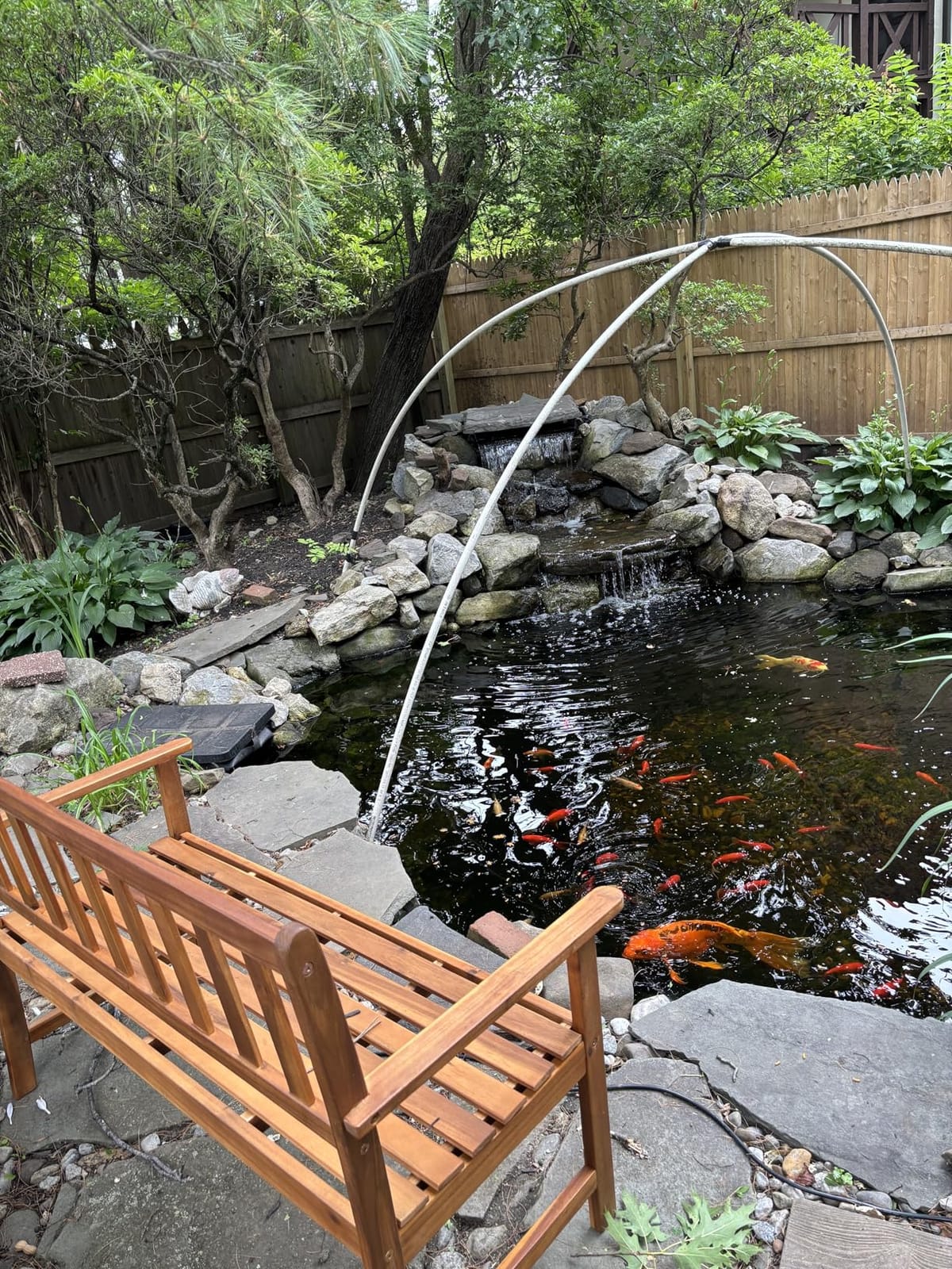 Patio Furniture Outdoor Patio Bench Wood Garden Bench Park Bench Acacia Wood for Pool Beach Backyard Balcony Porch Deck Garden Wooden Furniture, Natural Oiled customer photo 2