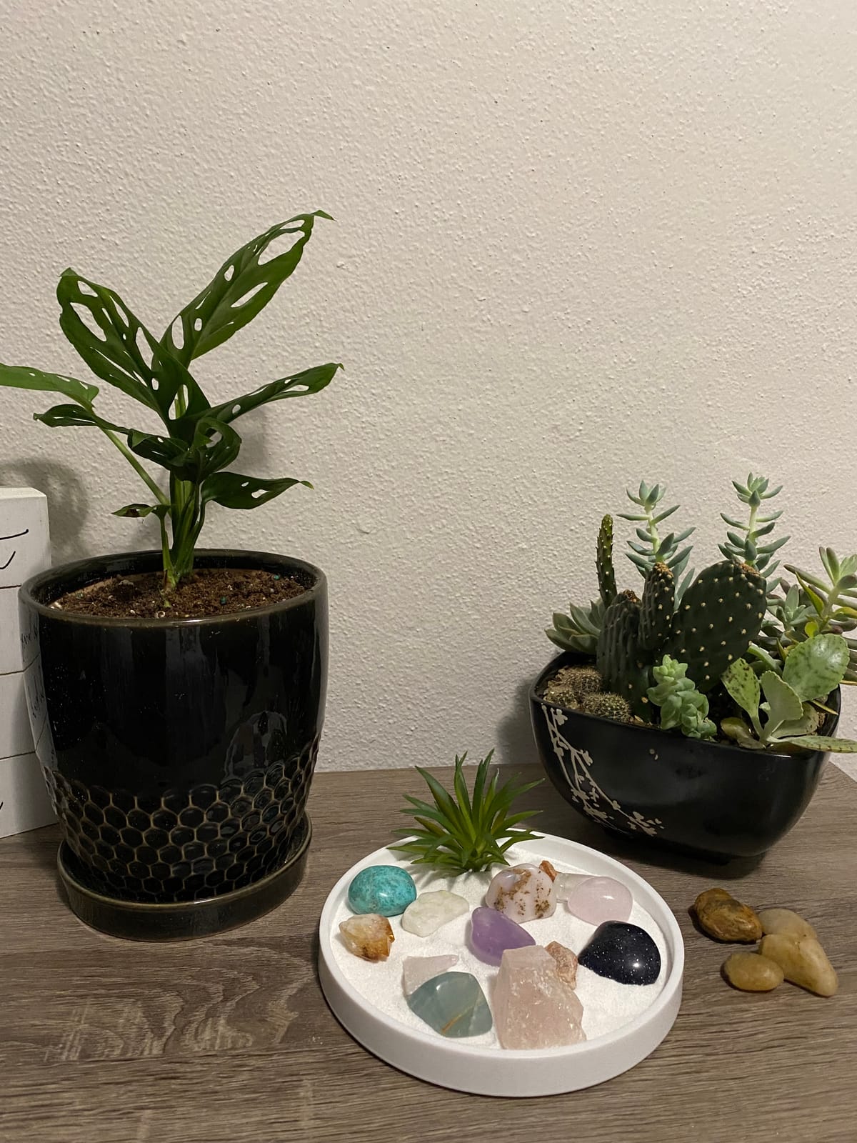 Nature's Mark Mini Zen Garden Kit for Desk with White Sand, Rake, White Base, Salt Rock and Air Plant (Round) customer photo 2