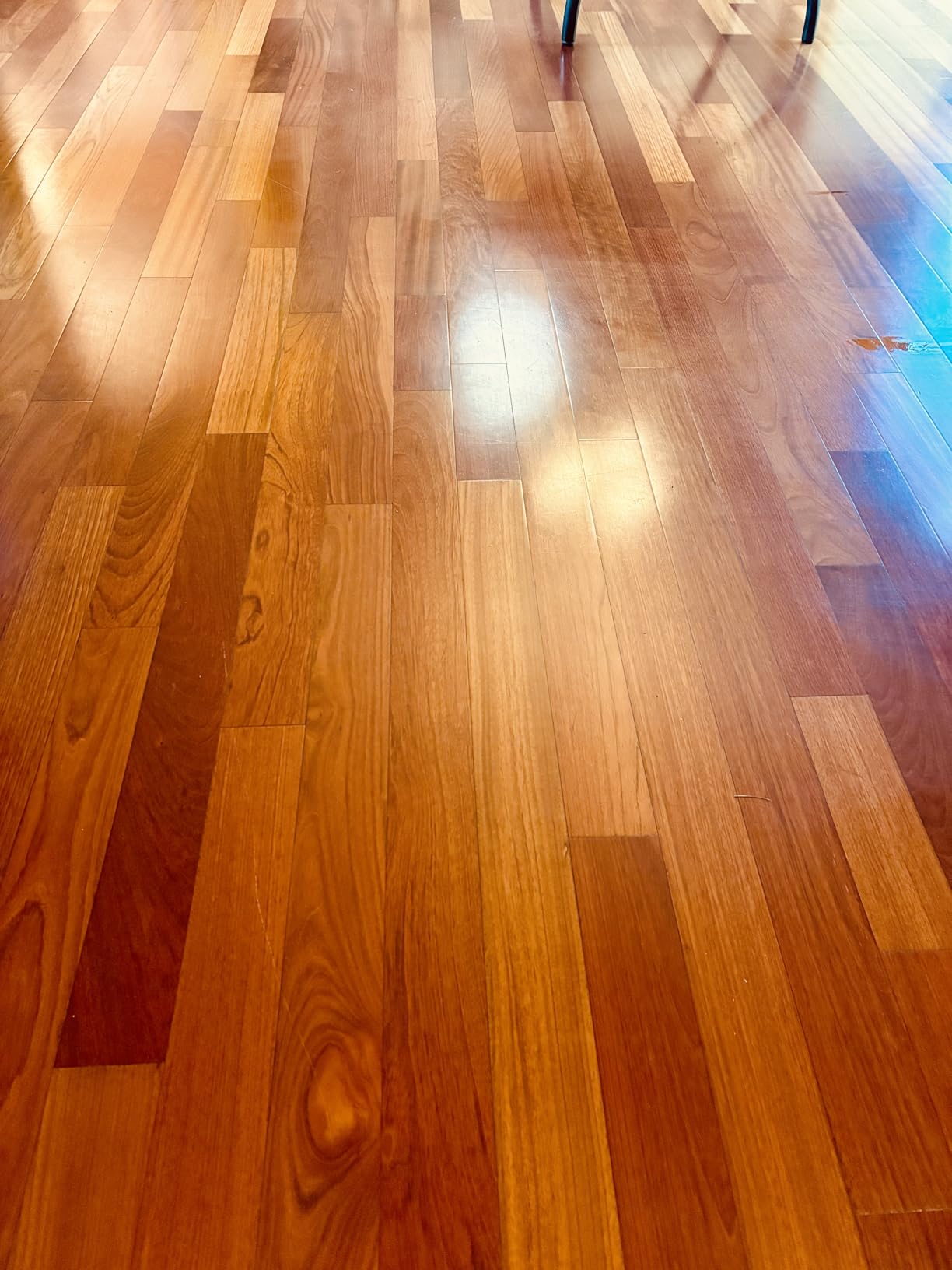 BISSELL SpinWave Hard Floor Expert Corded Spin Mop Cleaner, 20393 customer photo 2