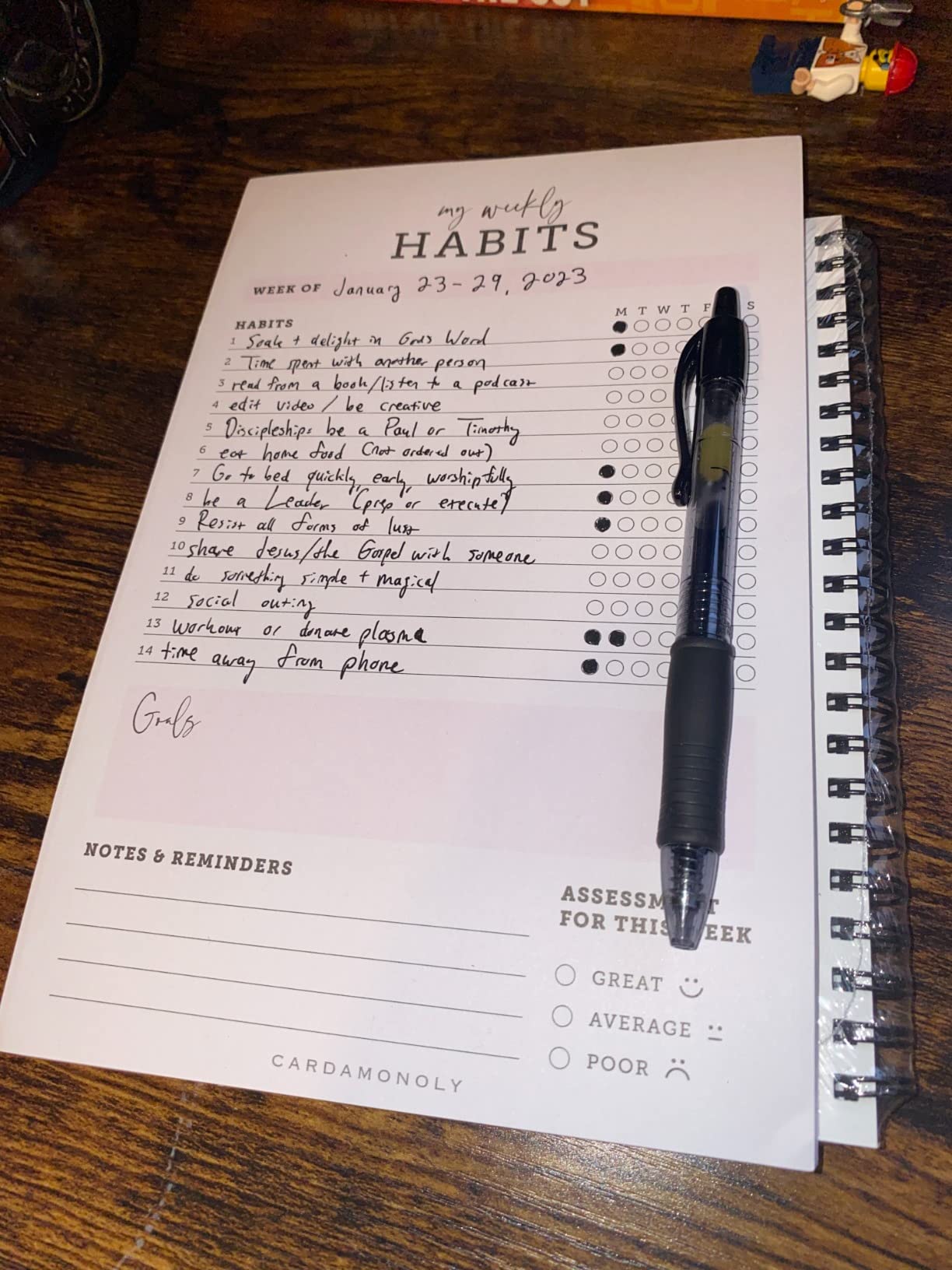 CARDAMONOLY Habit Tracker Notepad in Black and Light Pink - 50 Page Tear Off Planning Pad - 6 x 9 - High Performance Planner - Chore Chart for Adults - Weekly Planner Undated - Self Care Planner customer photo 2