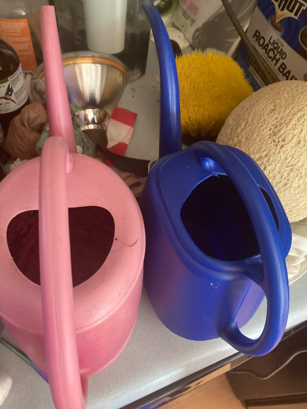 Bloem Aqua Rite Watering Can, 56 Oz, Classic Blue, Extra Long Spout, Durable Plastic, One Piece Construction, Indoor & Outdoor Use customer photo 1