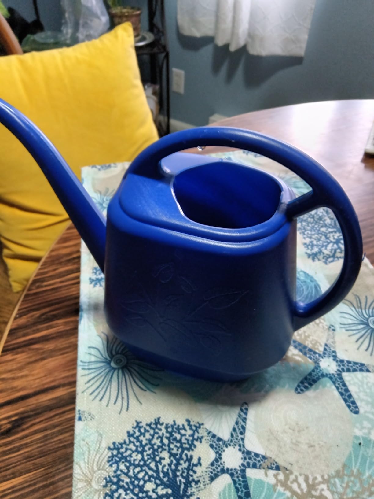 Bloem Aqua Rite Watering Can, 56 Oz, Classic Blue, Extra Long Spout, Durable Plastic, One Piece Construction, Indoor & Outdoor Use customer photo 2