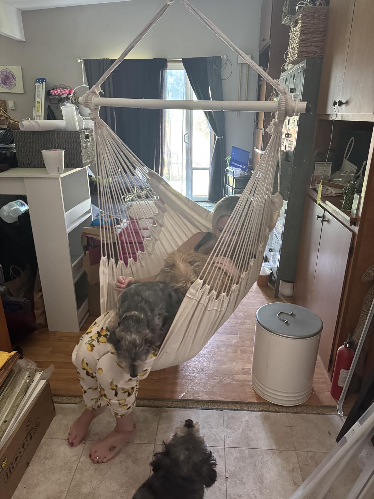 Highwild Hammock Chair Hanging Rope Swing - Max 500 Lbs - 2 Cushions Included customer photo 2