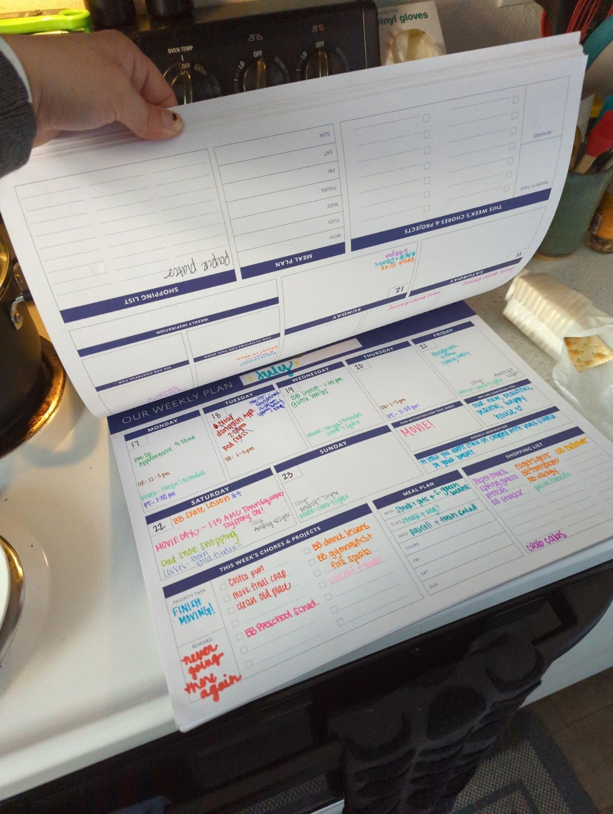 Global Printed Products Weekly Family Planner - 52 Undated Weeks for Planning and Organizing Family Activities - 13 x 17 customer photo 1