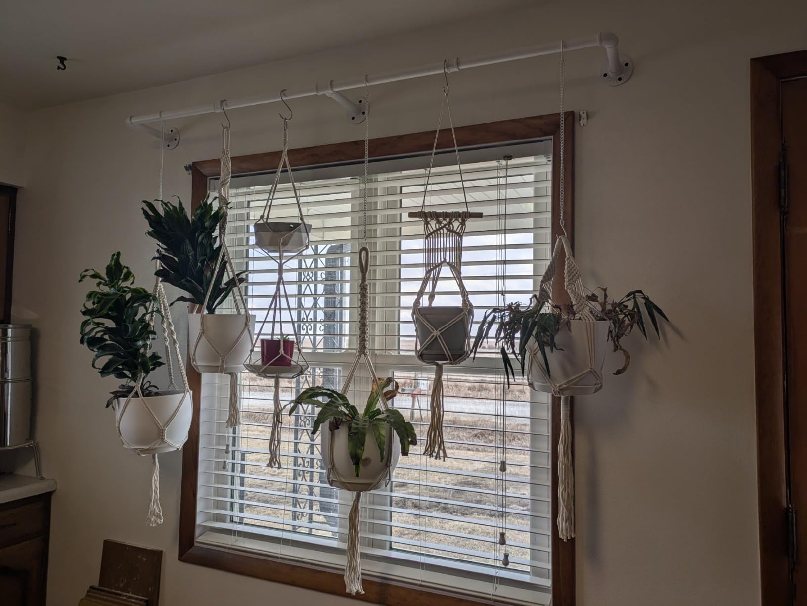 Nook Theory 4-Pack Macrame Plant Hangers with 8 Hooks - Hanging Planters for Indoor Plants, Boho Macrame Hangers Indoor Outdoor, Decorative Plant Hanger Indoor (Cream) customer photo 1