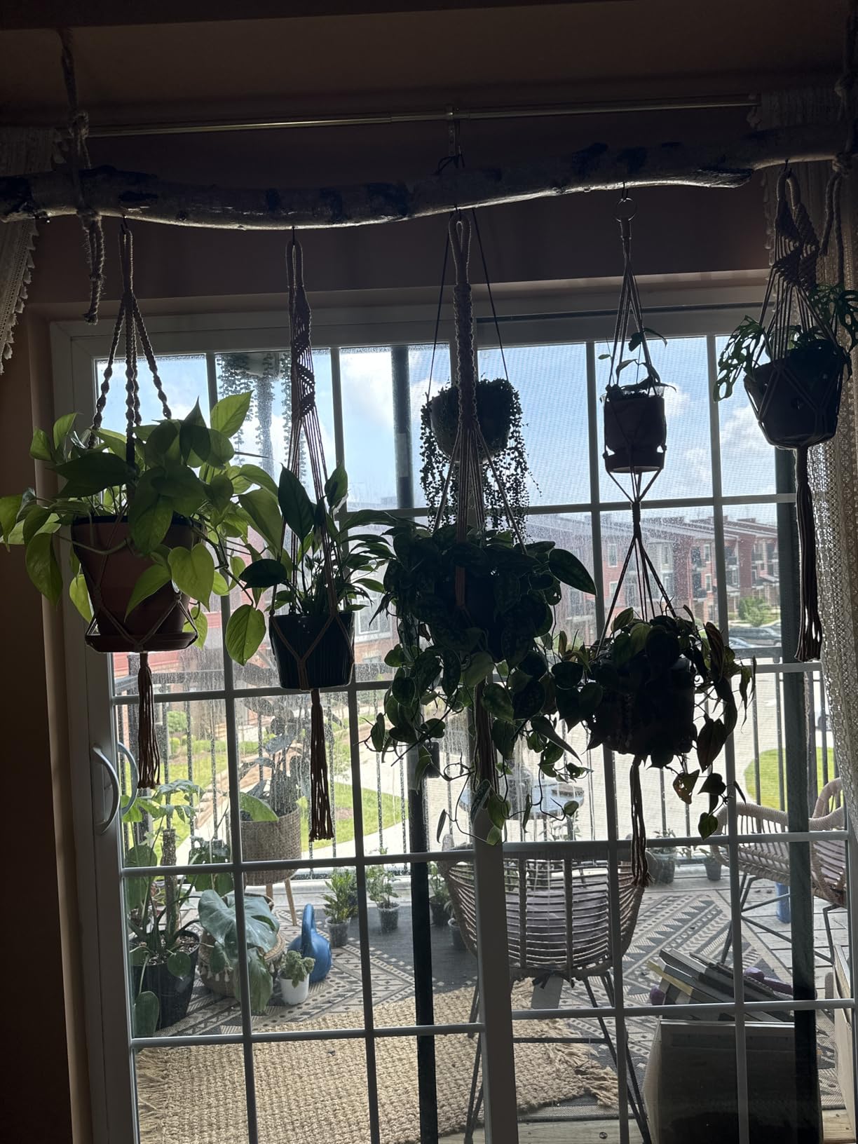 Nook Theory 4-Pack Macrame Plant Hangers with 8 Hooks - Hanging Planters for Indoor Plants, Boho Macrame Hangers Indoor Outdoor, Decorative Plant Hanger Indoor (Cream) customer photo 2